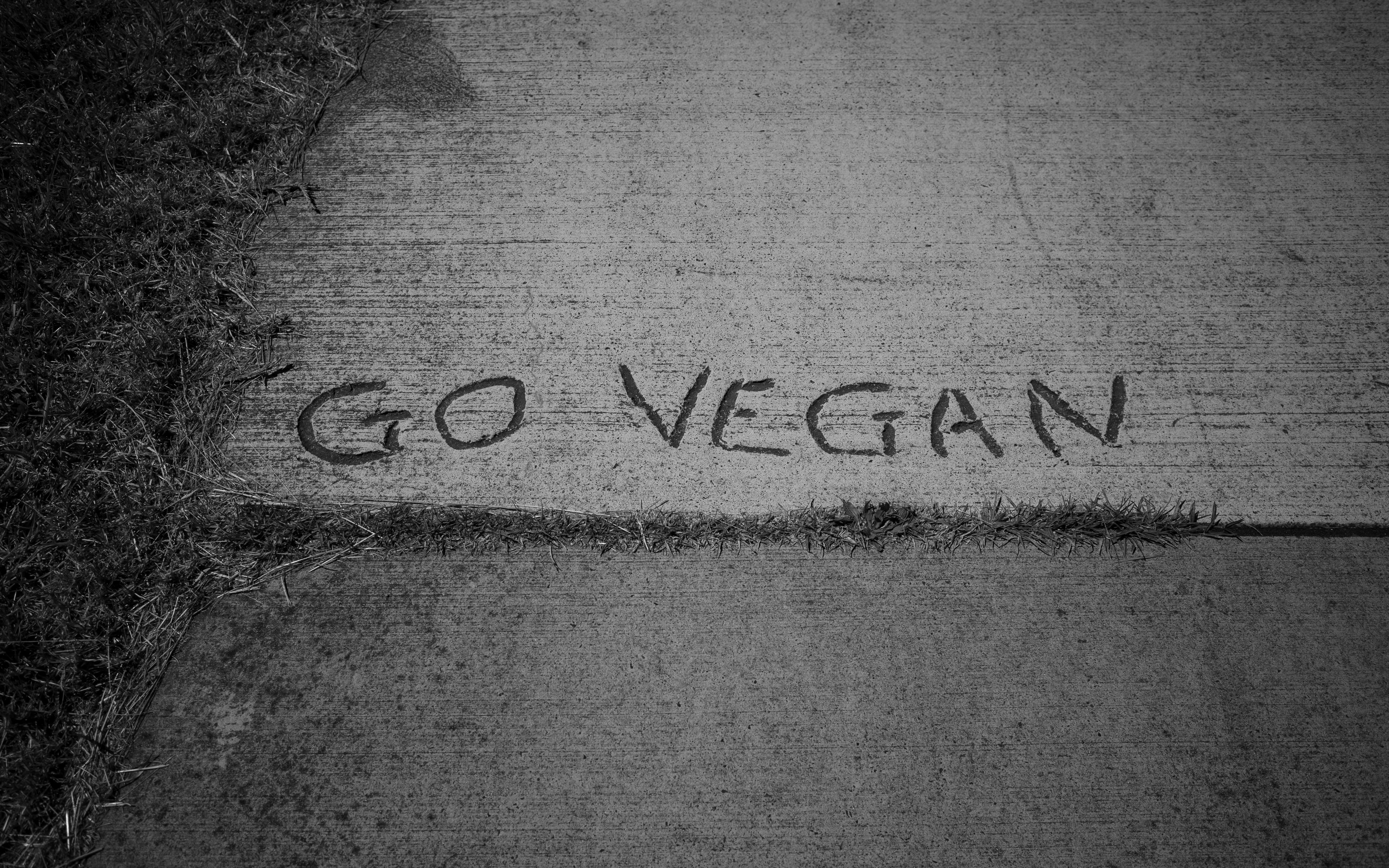 Go Vegan Carved on Pavement