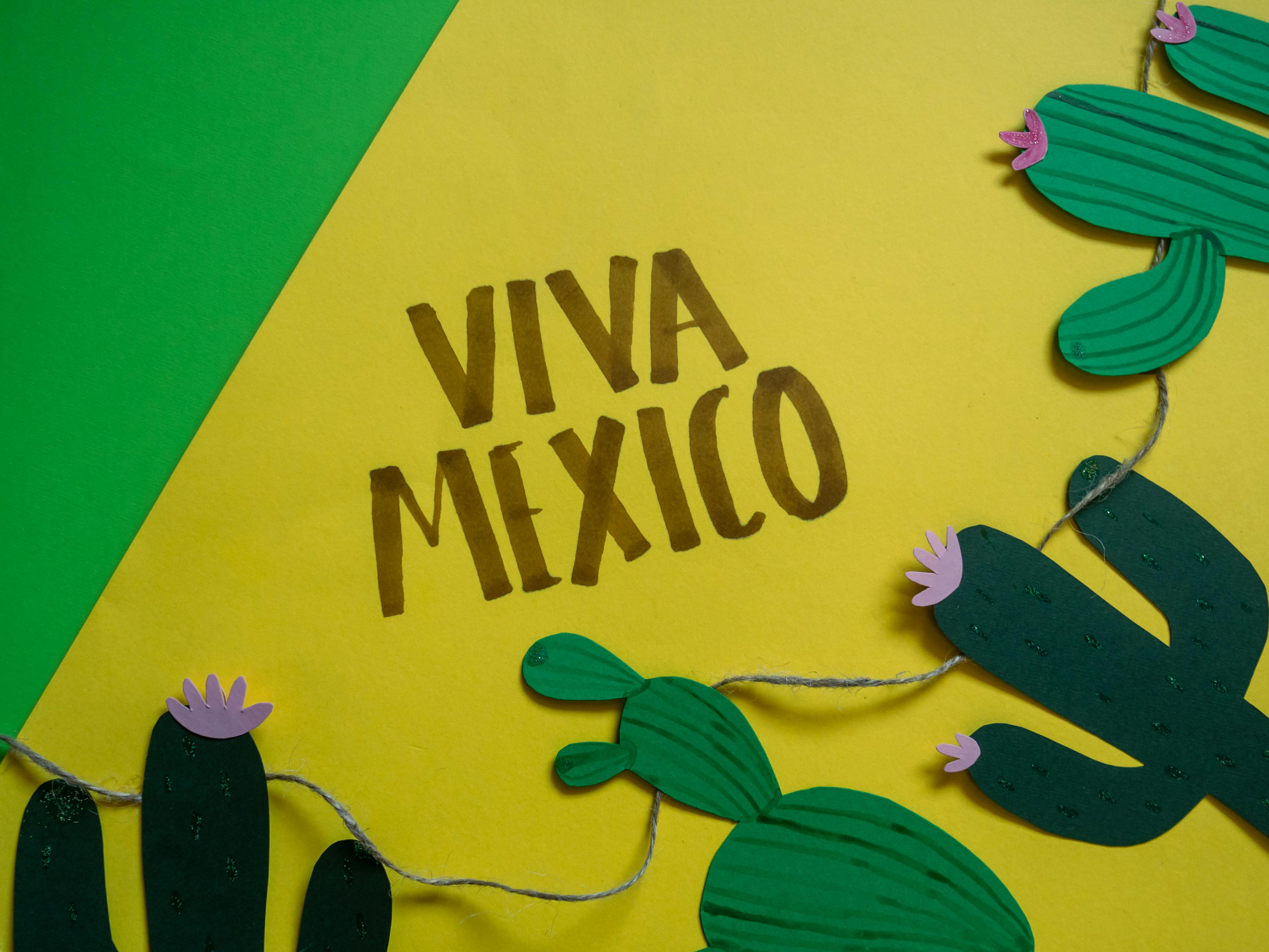 Viva Mexico Text