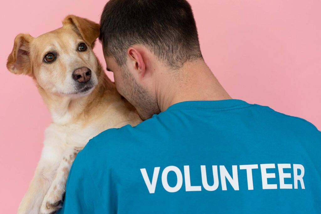 Animal Rescue And Adoption Campaigns Slogan Ideas