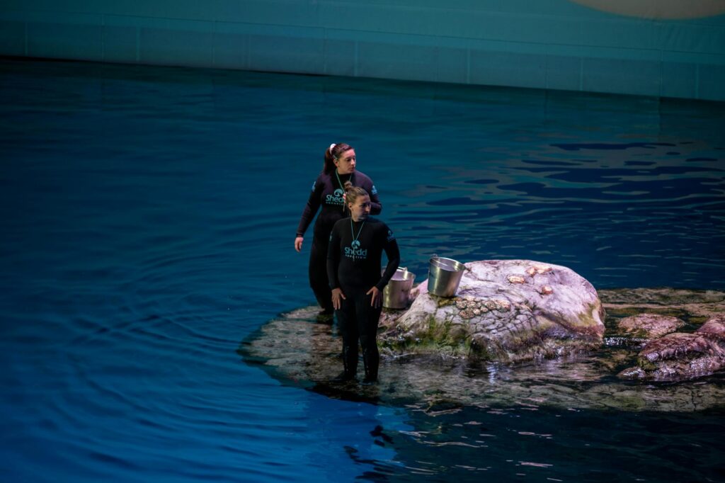 Aquarium Maintenance Tips Slogan Ideas