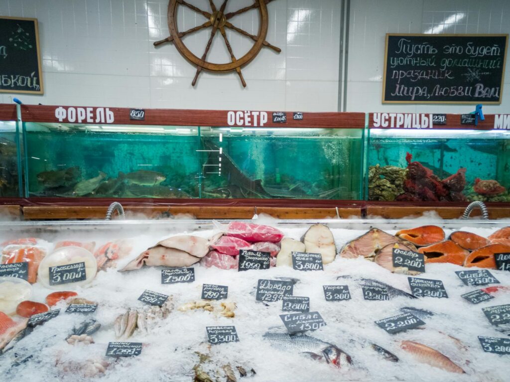 Aquarium Supplies Store Slogan Ideas