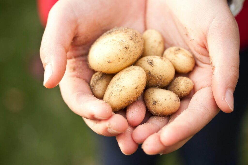 Biodynamic Farming Slogan Ideas