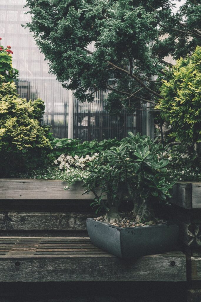 Bonsai Trees Slogan Ideas