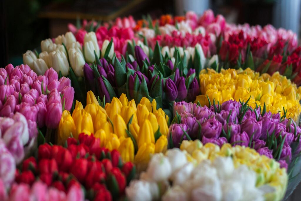 Bouquets Slogan Ideas