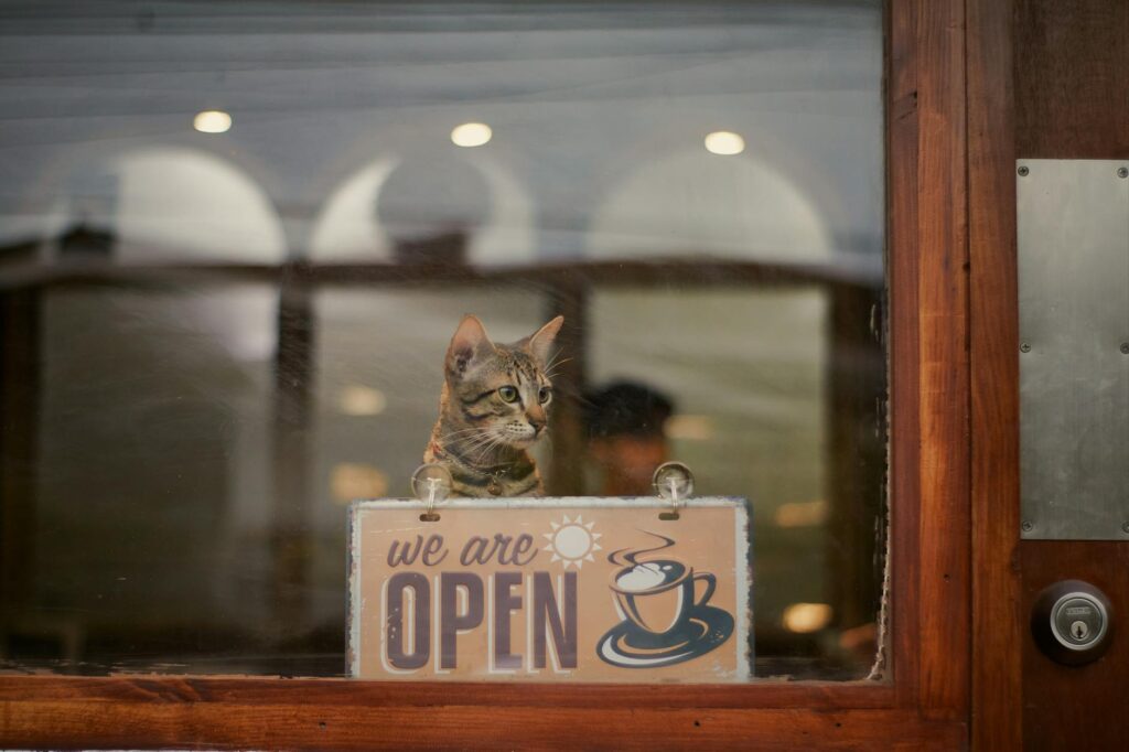 Cat Cafe Slogan Ideas