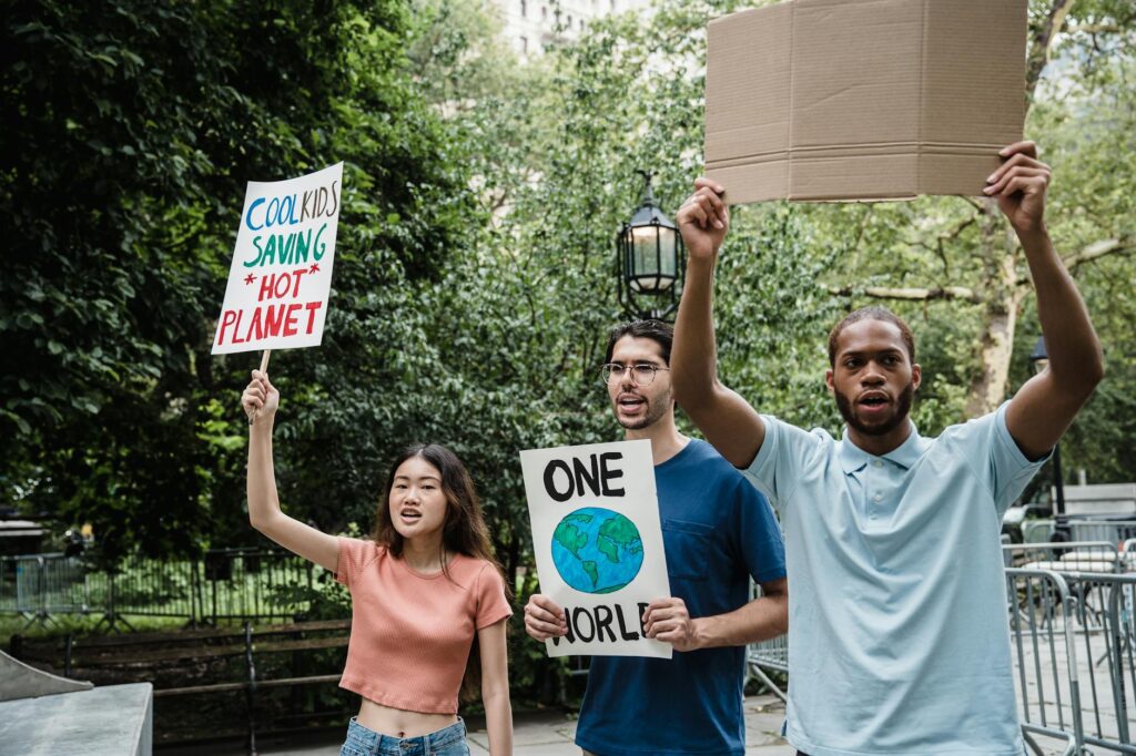 Conservation Filmmaking Slogan Ideas