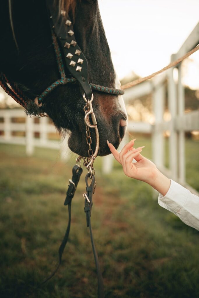 Equine Therapy Slogan Ideas