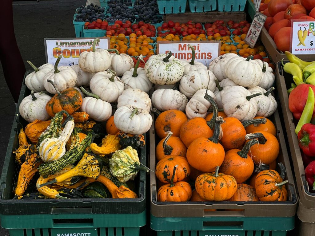 Farmers Market Slogan Ideas