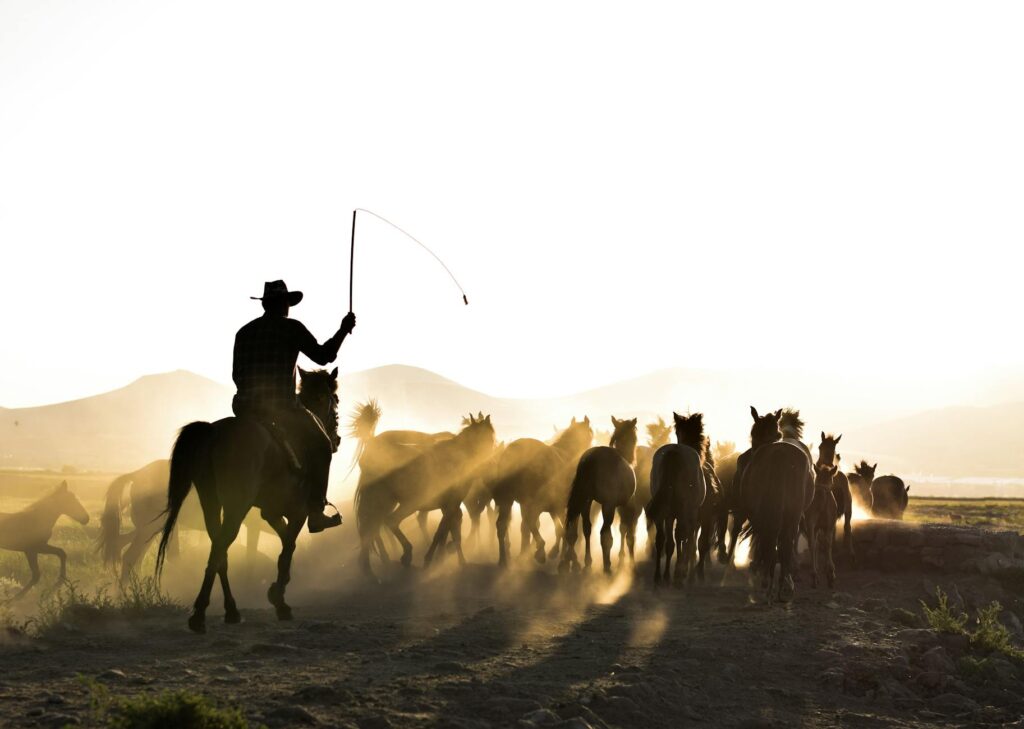 Horseback Riding Lessons Slogan Ideas