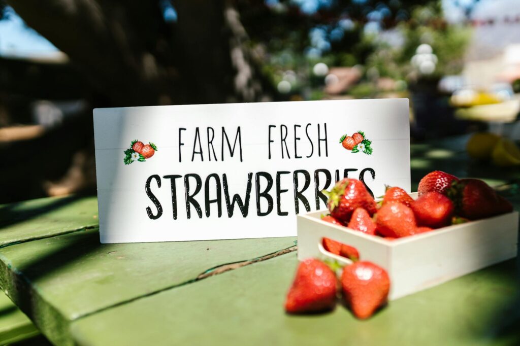 Local Farm Branding Strategies Slogan Ideas