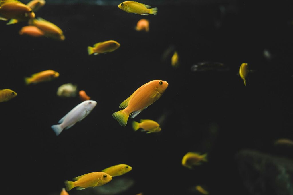 Marine Biology Slogan Ideas
