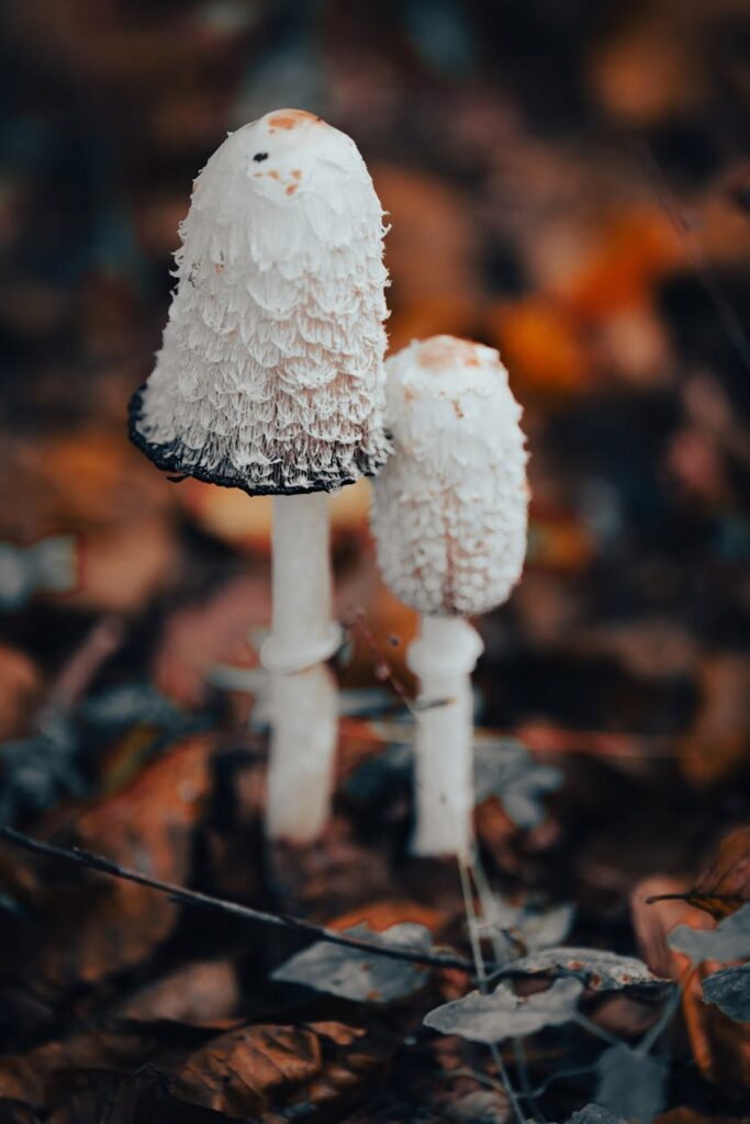 Non-Governmental Slogan Ideas