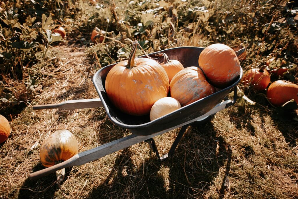 Organic Farming Concepts Slogan Ideas