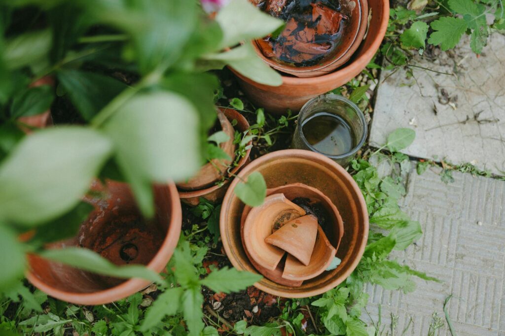 Permaculture Slogan Ideas