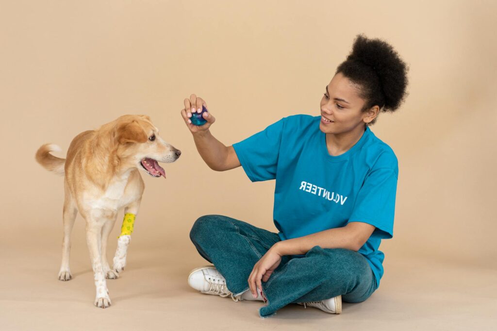 Pet Training Services Slogan Ideas