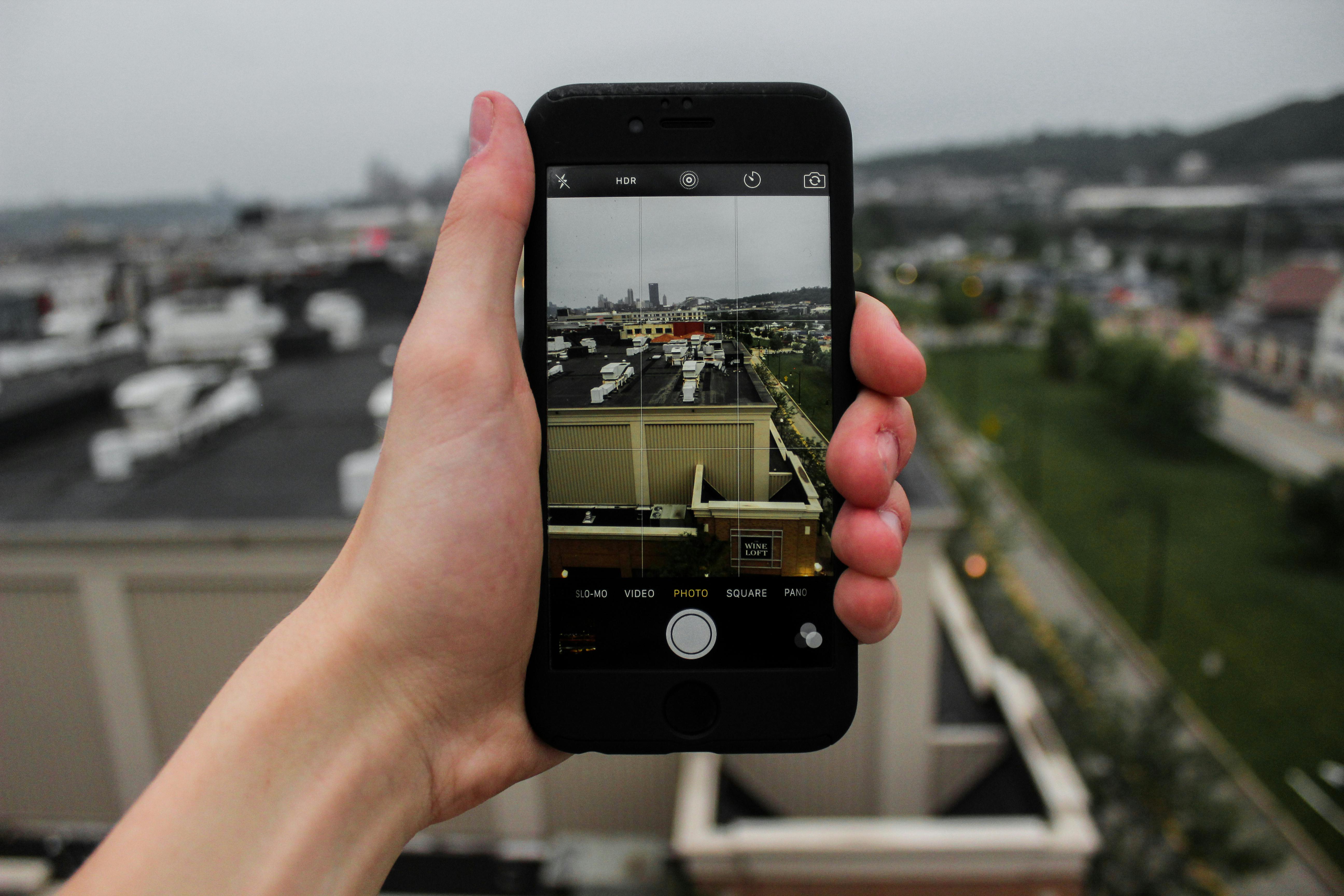 Rooftop Beekeeping