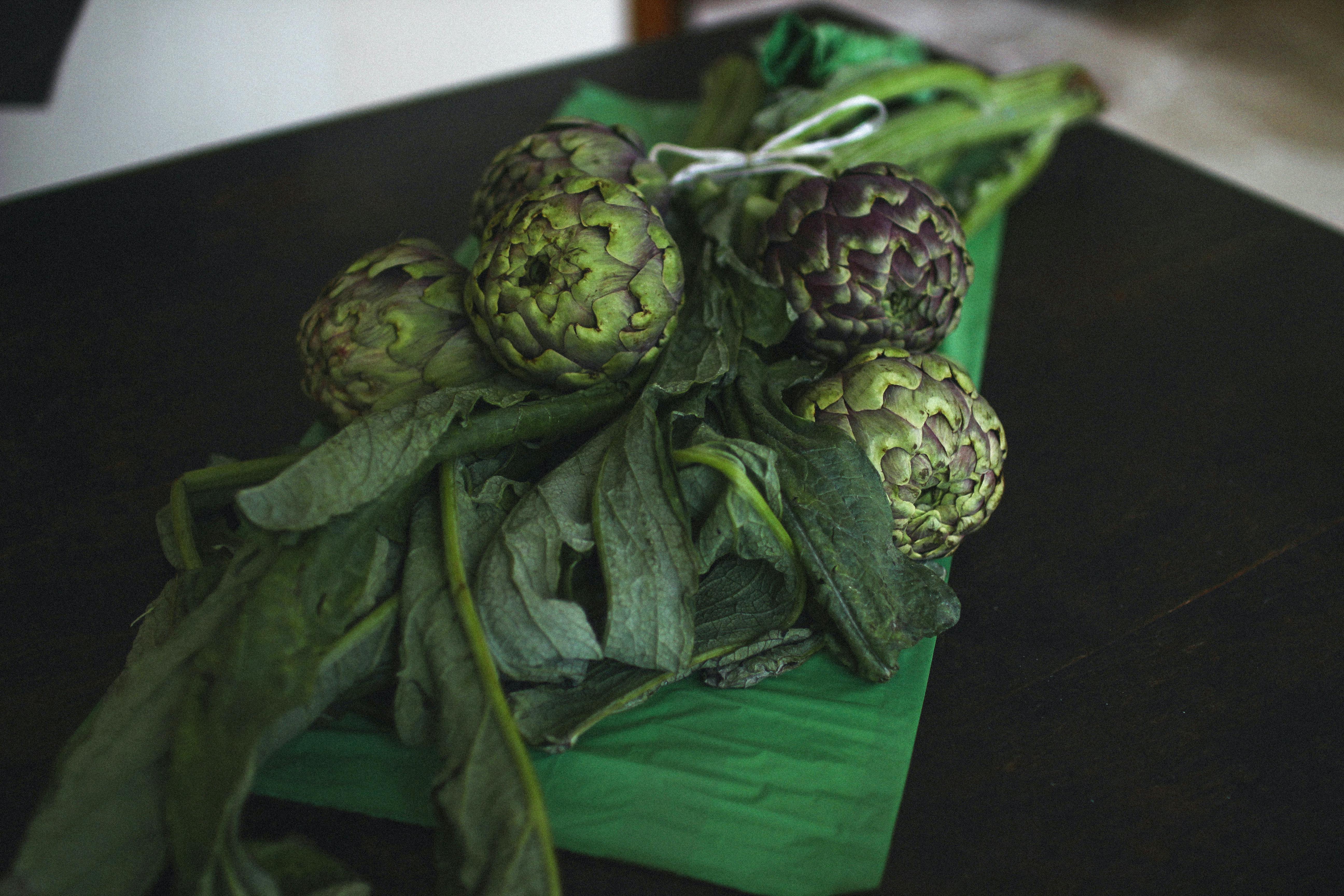 Close-up of Flower Buds