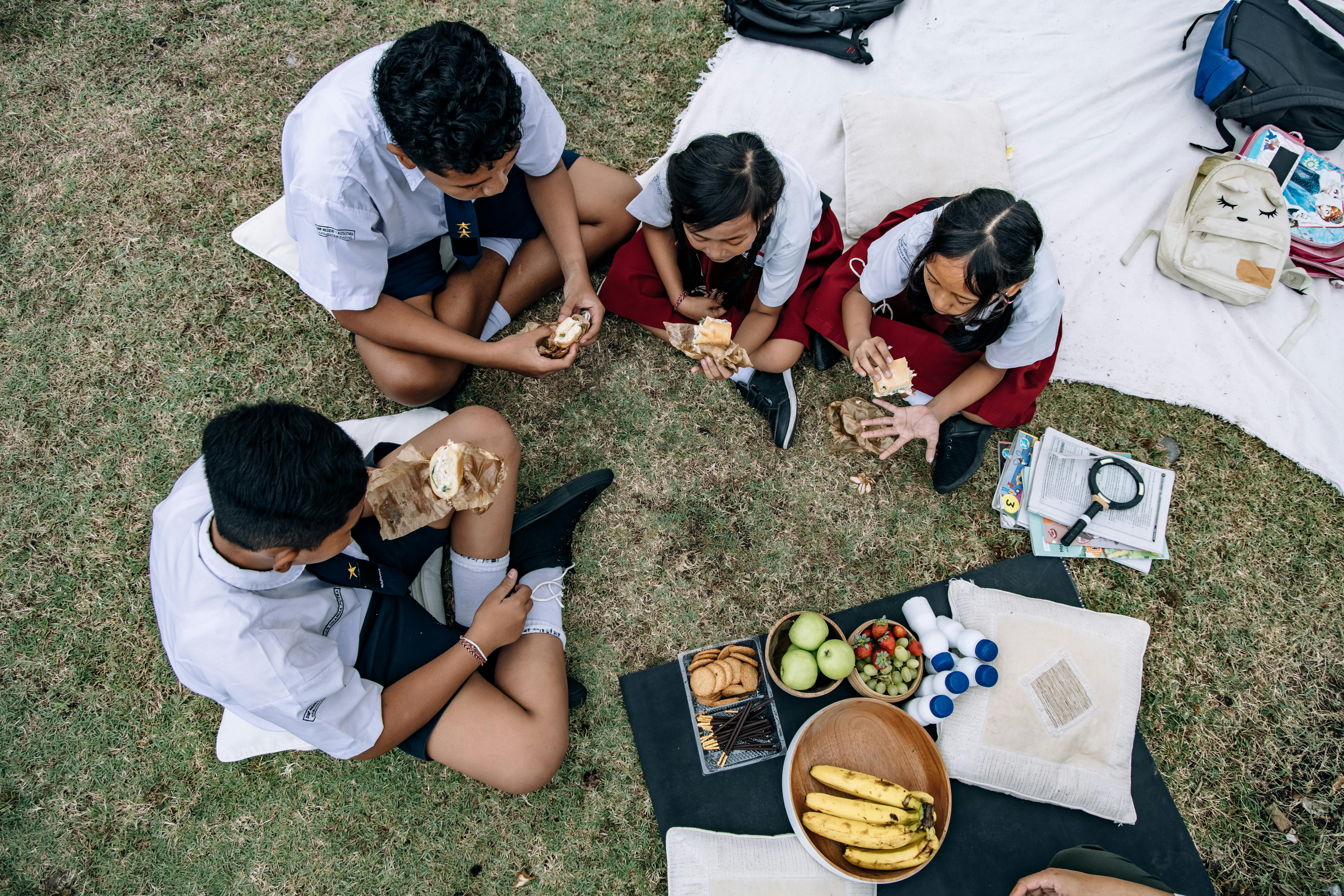 A Group of Students Having a Picnic