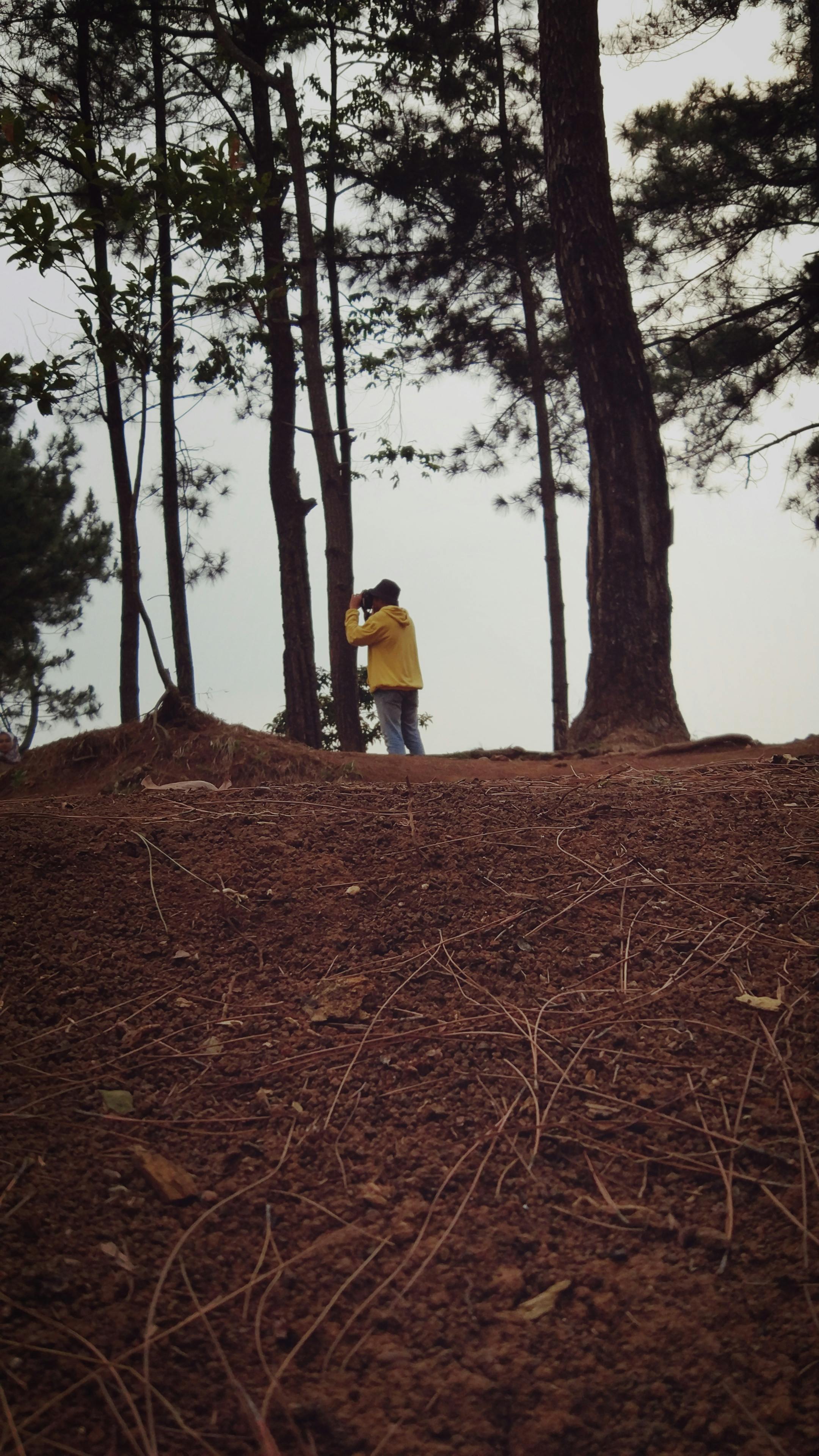 Person Standing in Forest