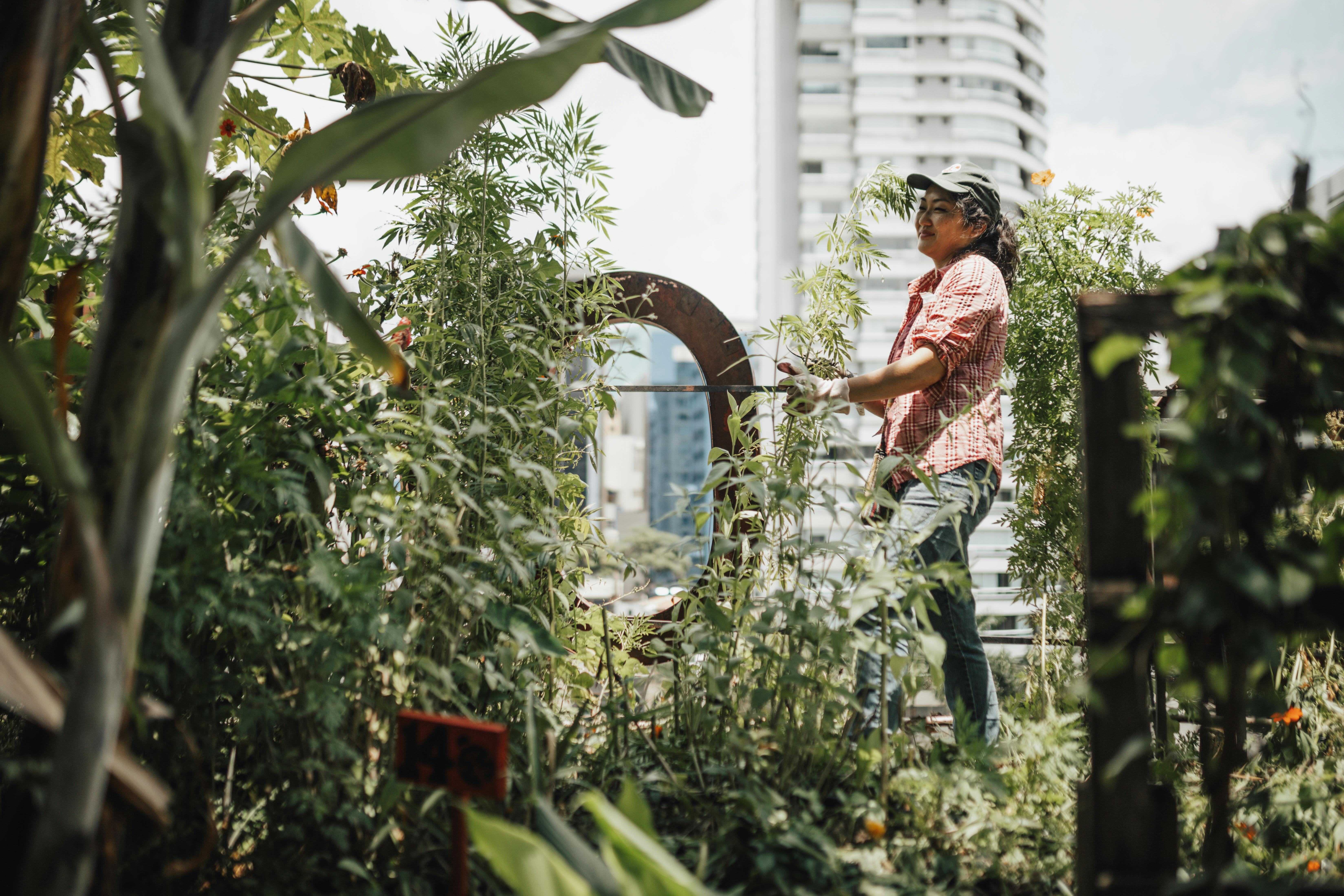 Smiling Gardener among Plants