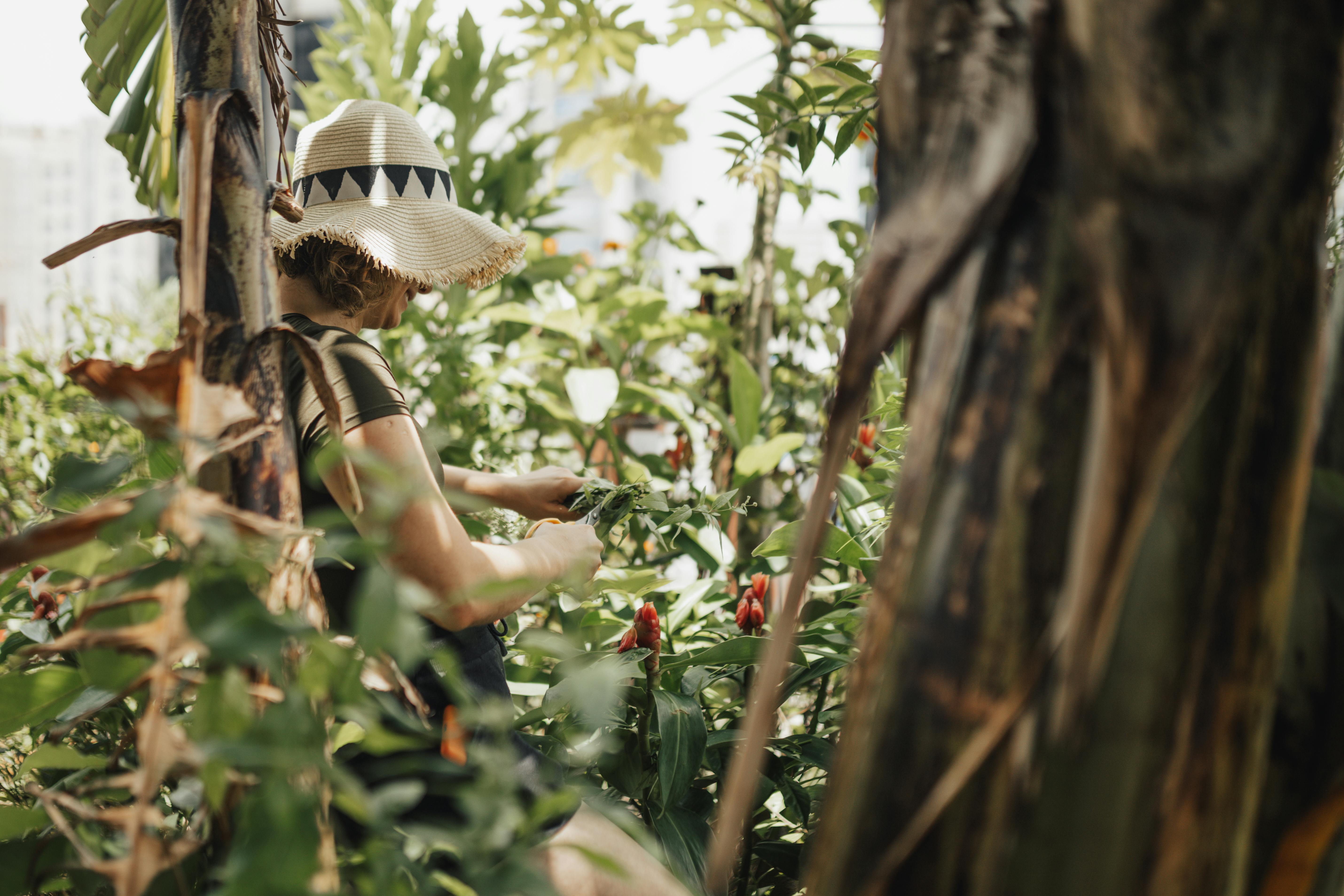 Woman in a Hat Working in a Garden