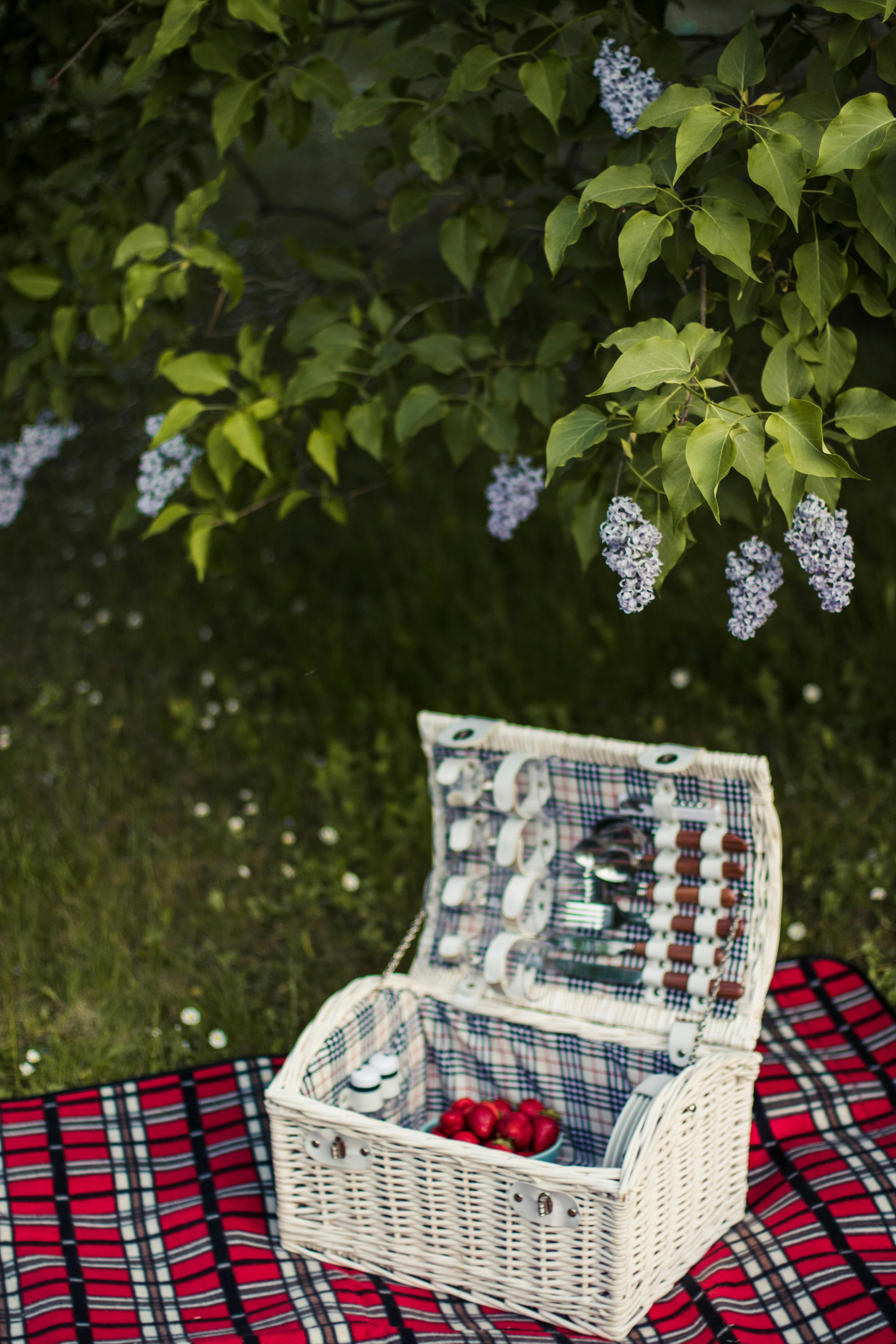 White Wicker Basket