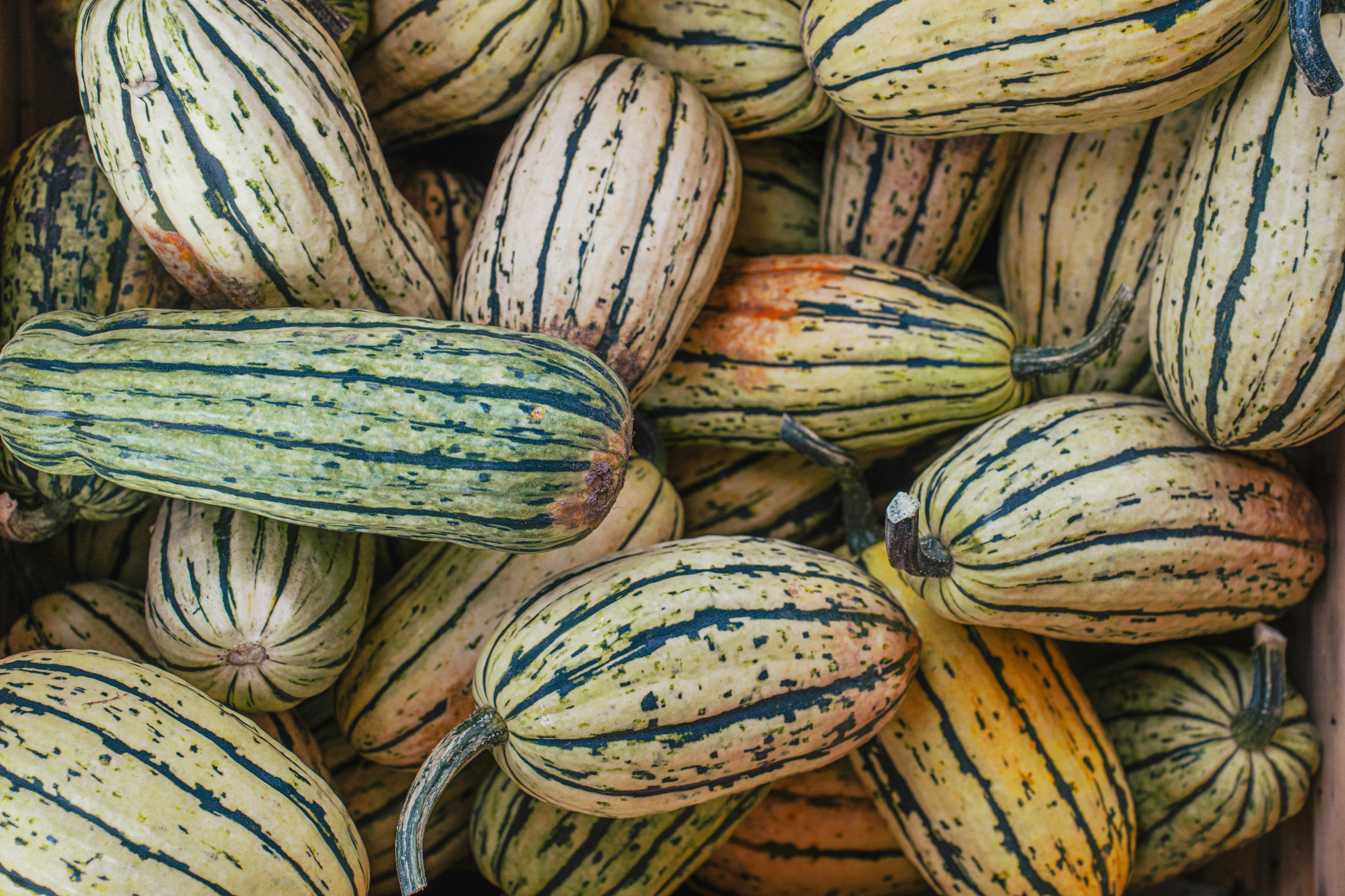 Pile of Delicata Squashes