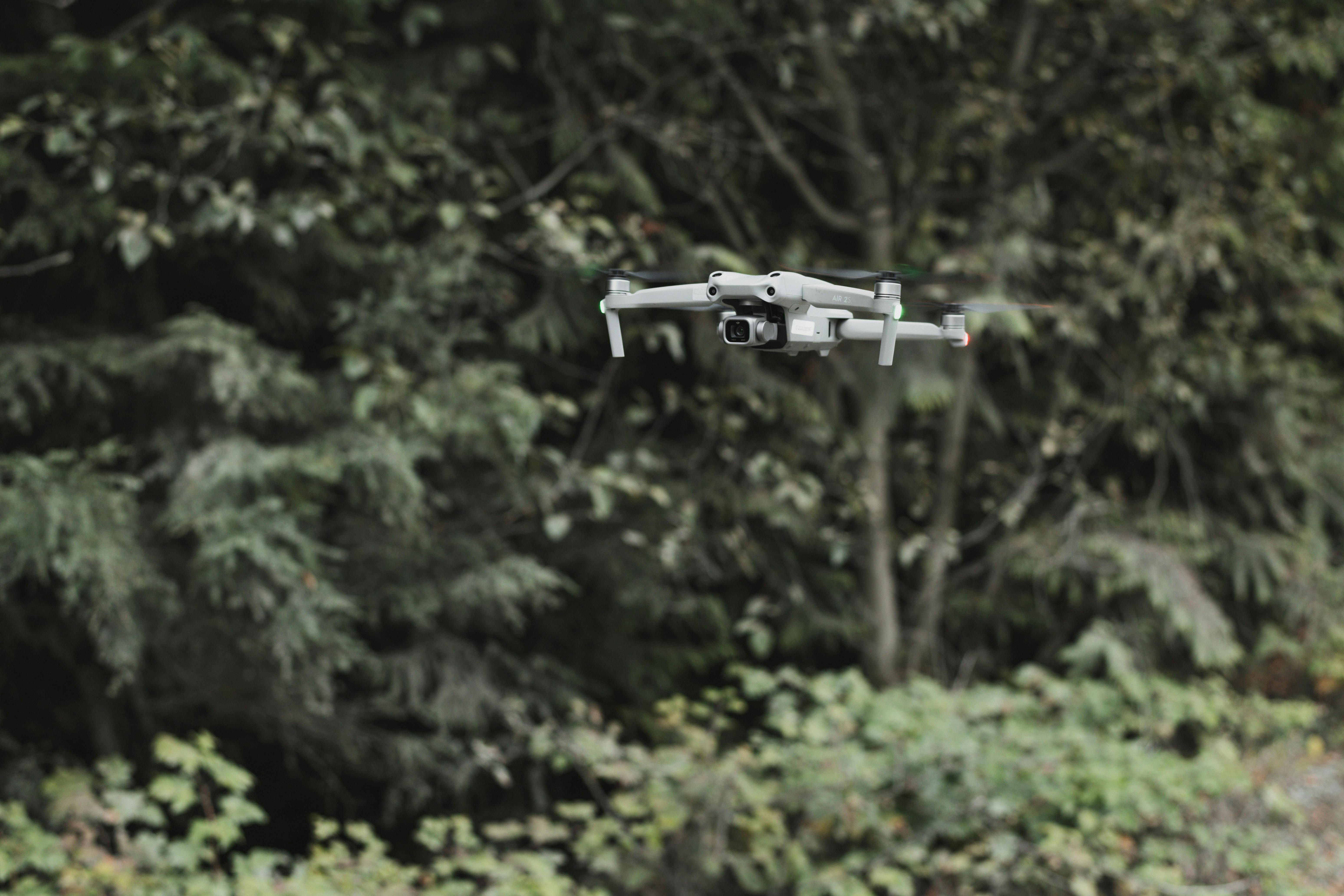 Drone Flying in a Forest