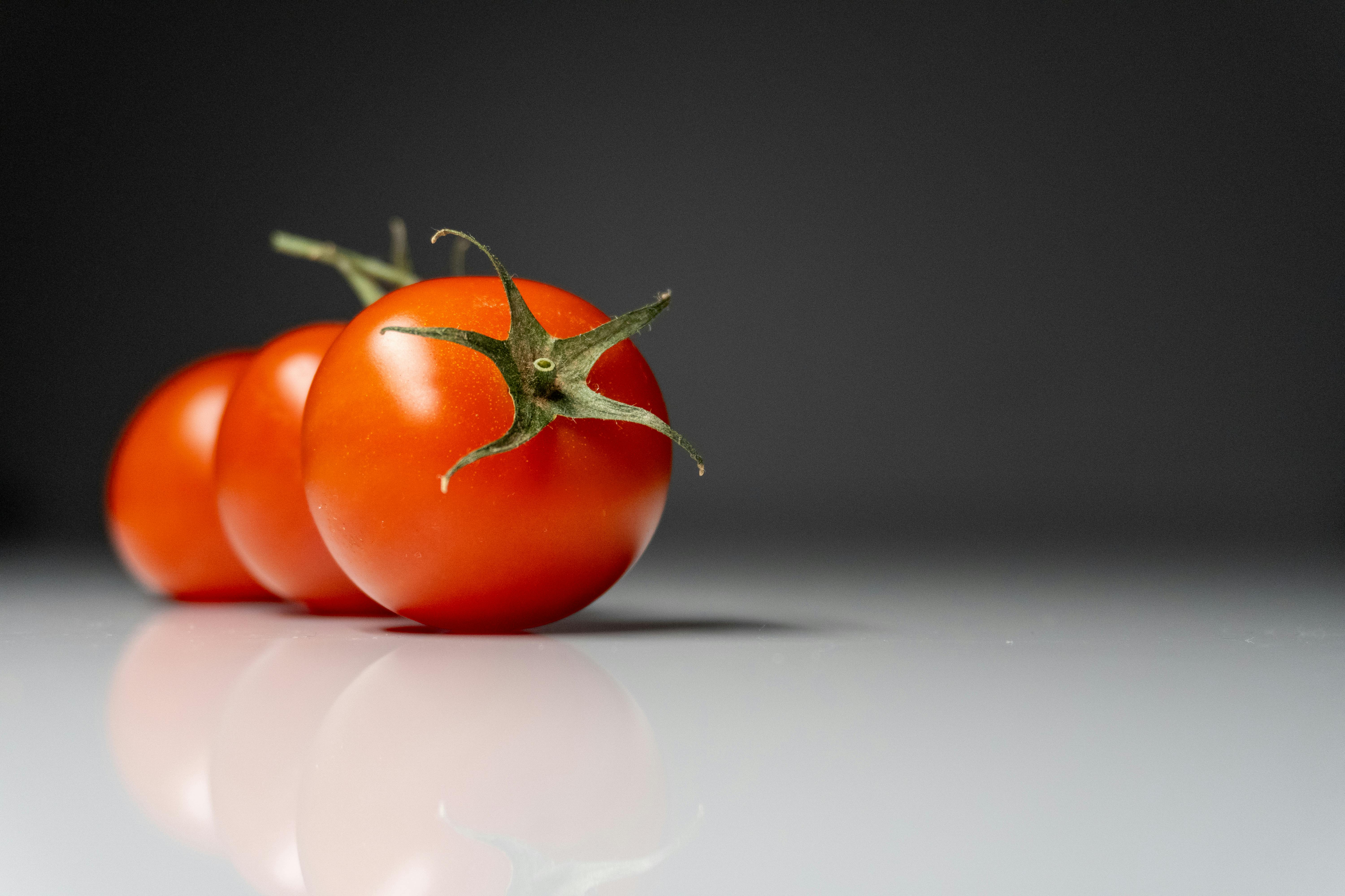 Tomatoes on a white background