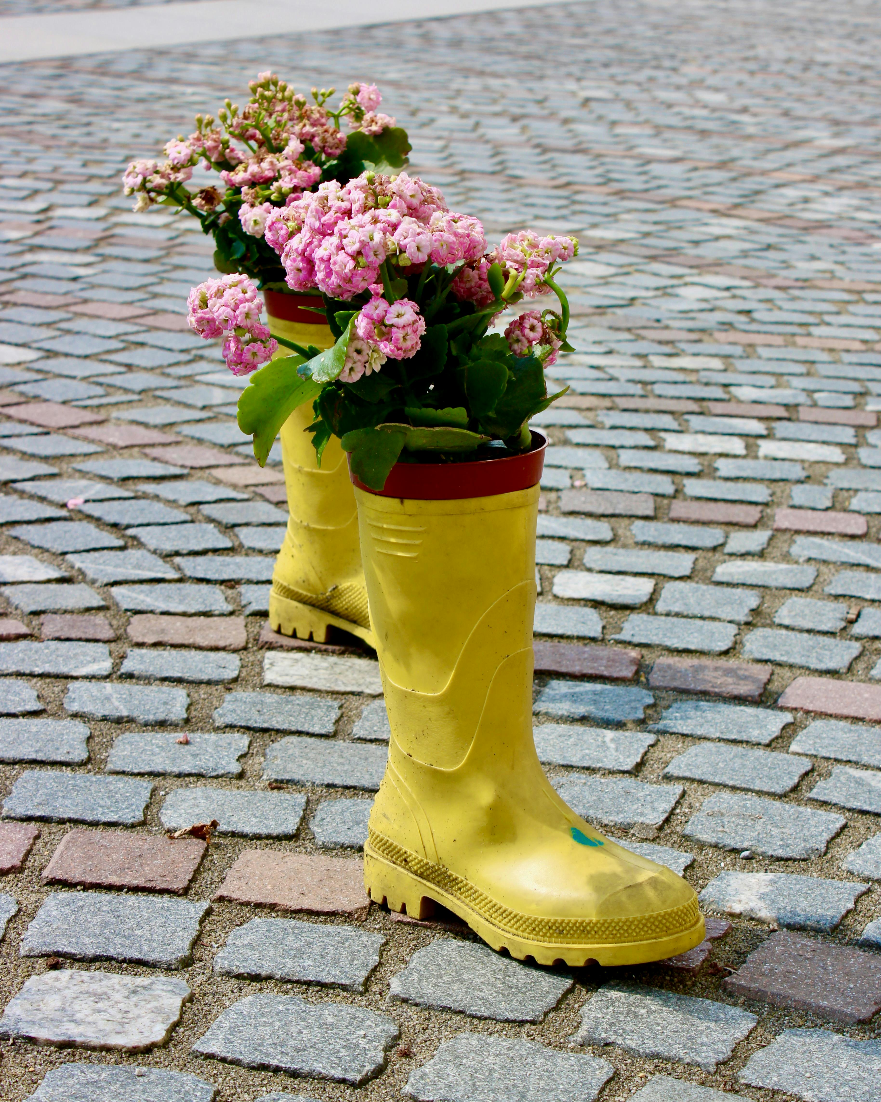 Decorative Rubber Boots with Pink Flowers