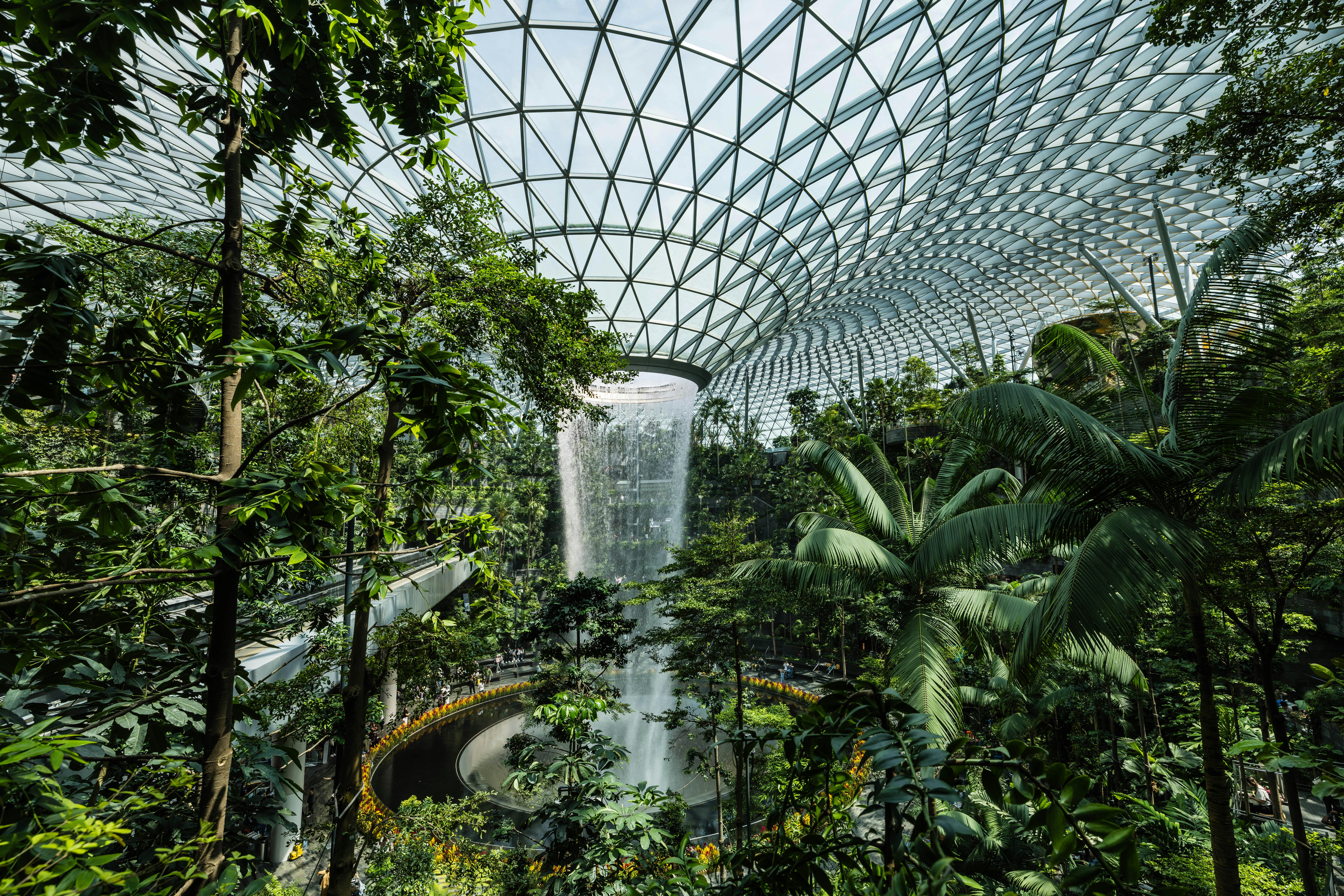 Tropical Flowers on an Airport in Singapore