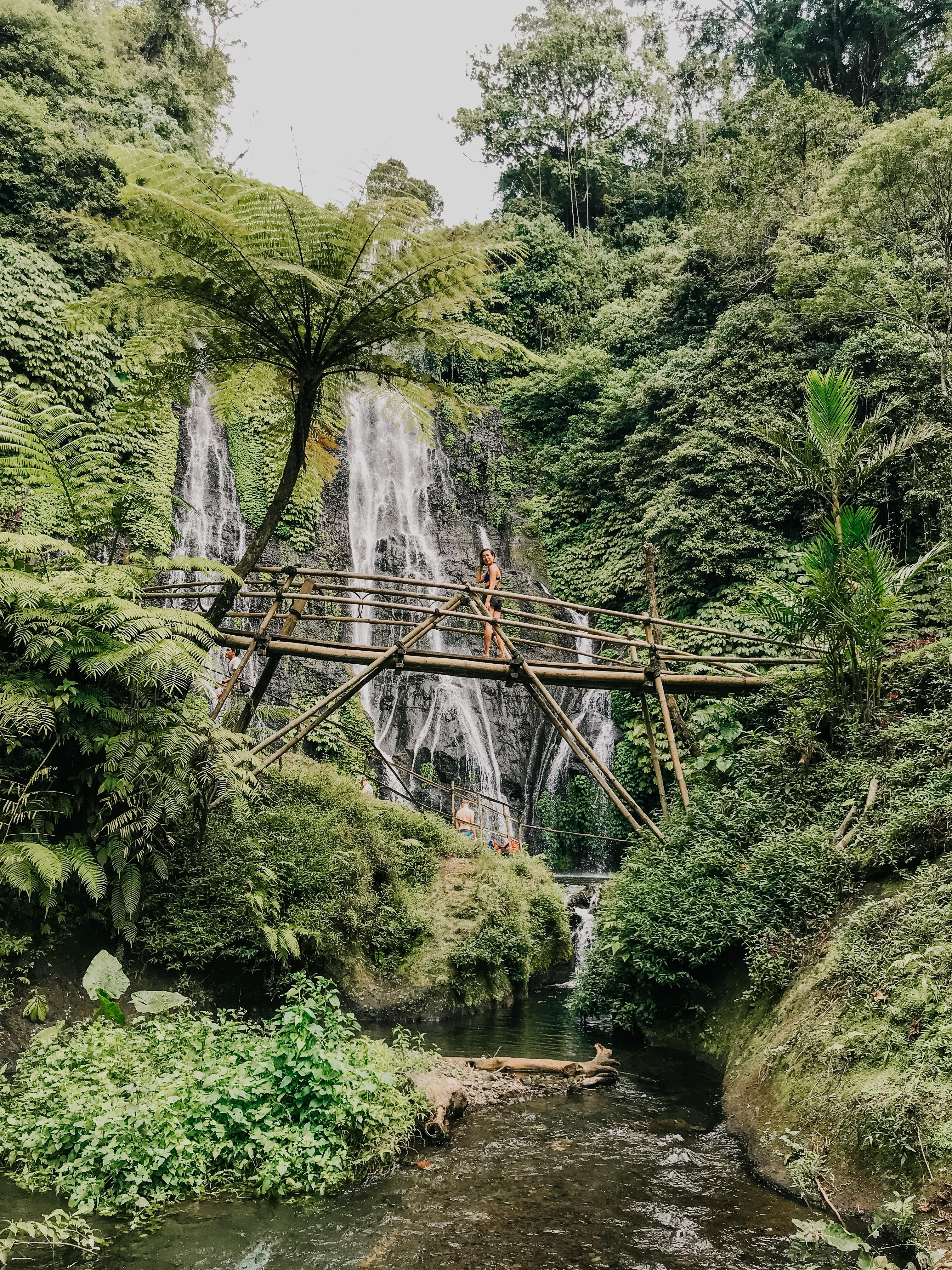 Brown Bamboo Bridge Near Trees