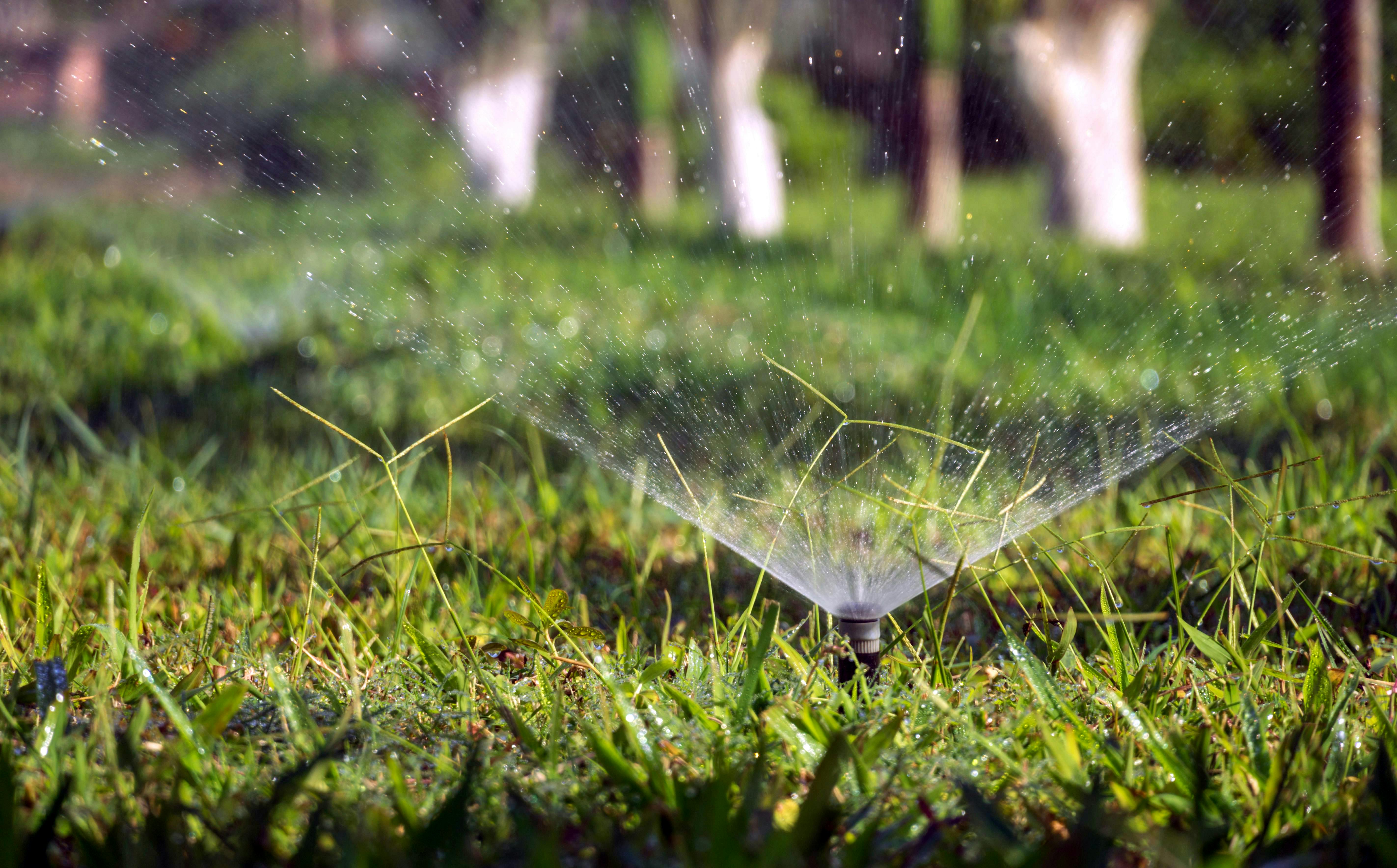 Close up of a Sprinkler