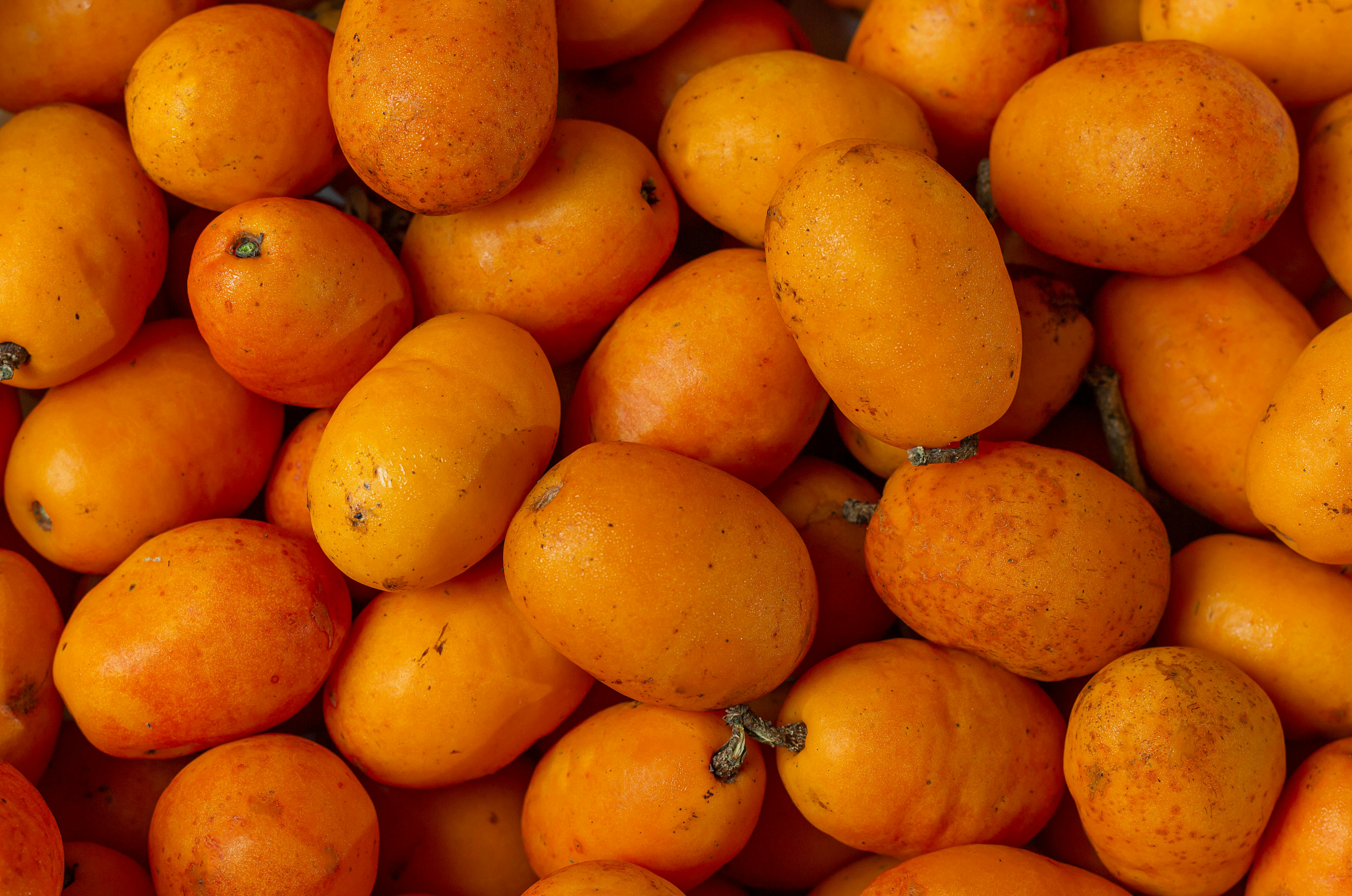 Ripe Mango Plums