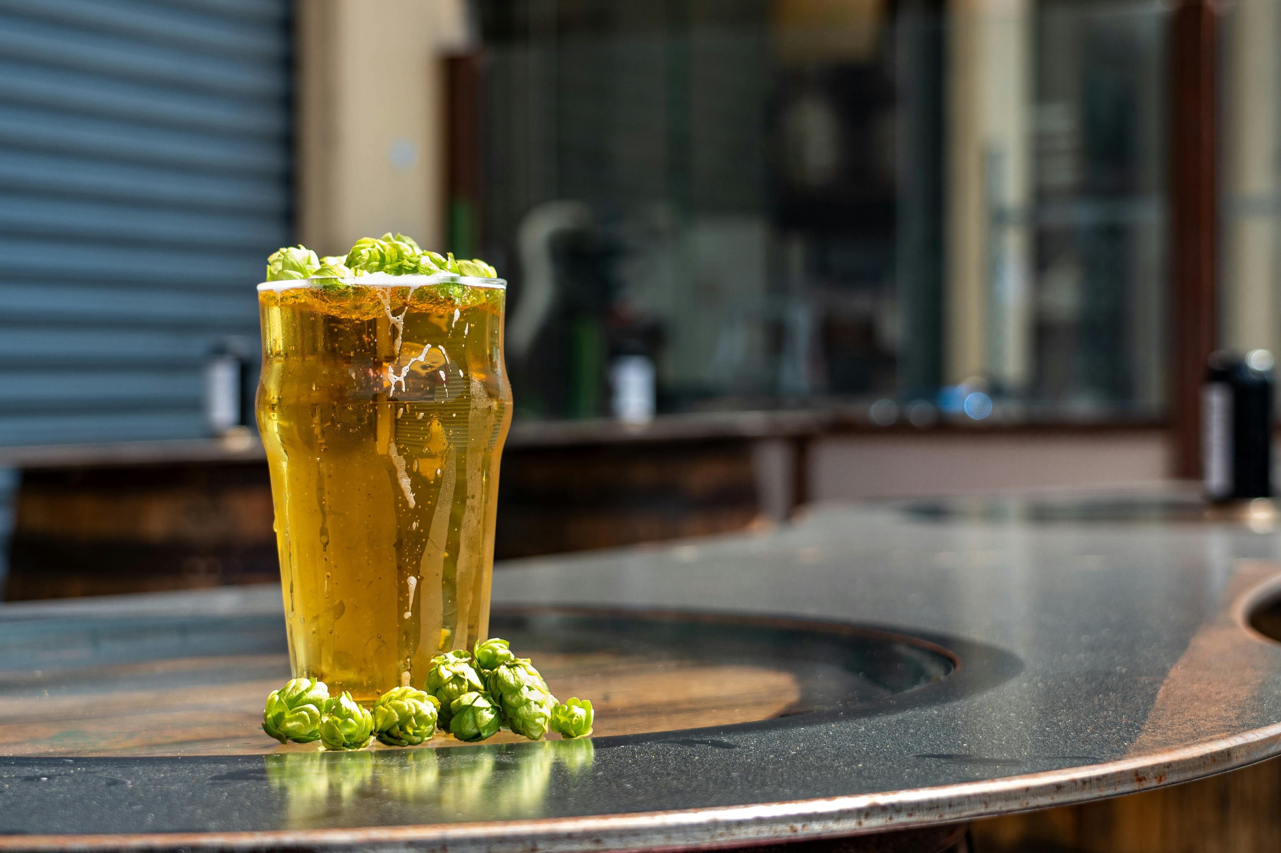 Tall Glass of Beer Decorated with Hops