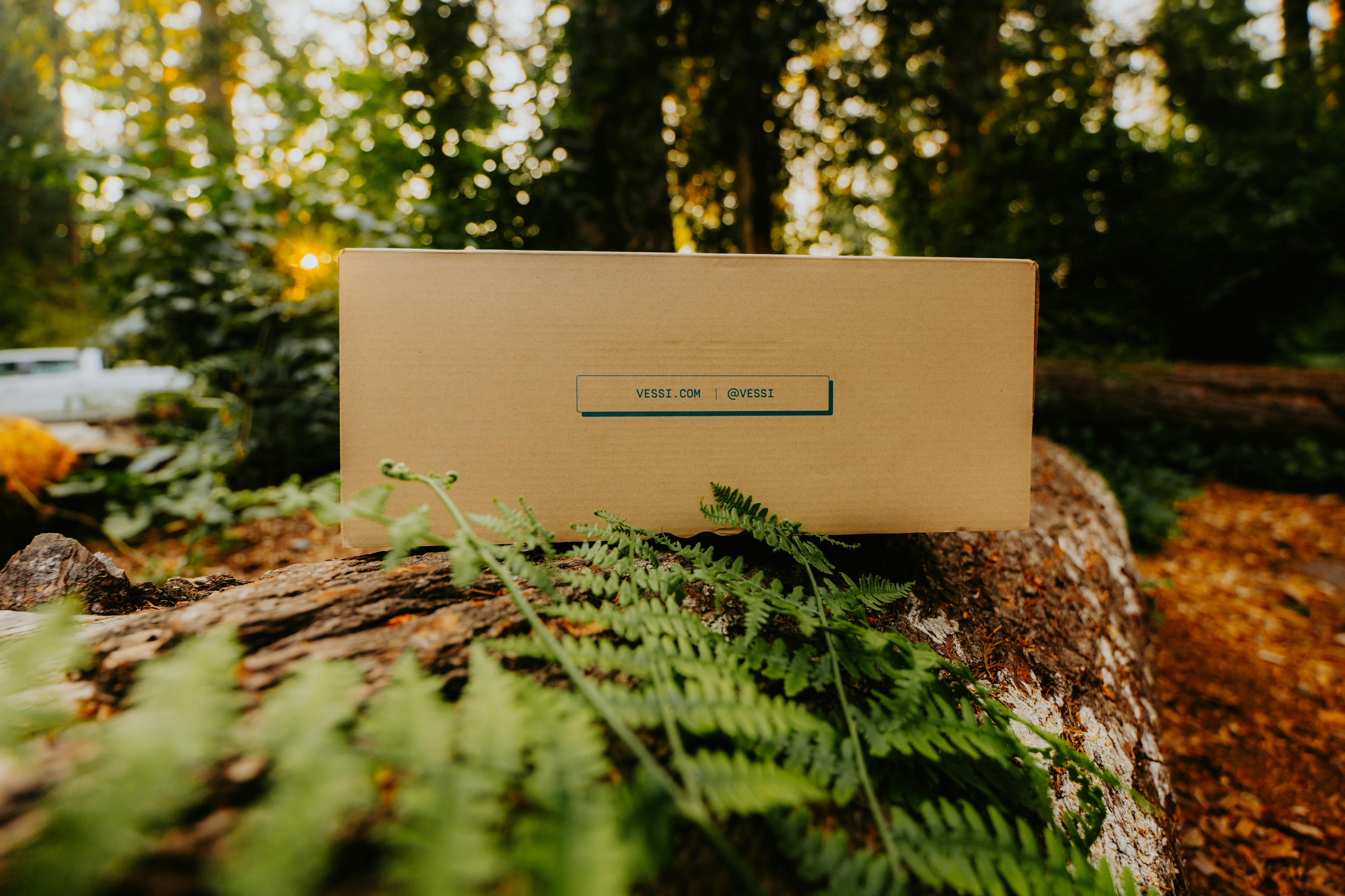 A box sitting on top of a log in the forest