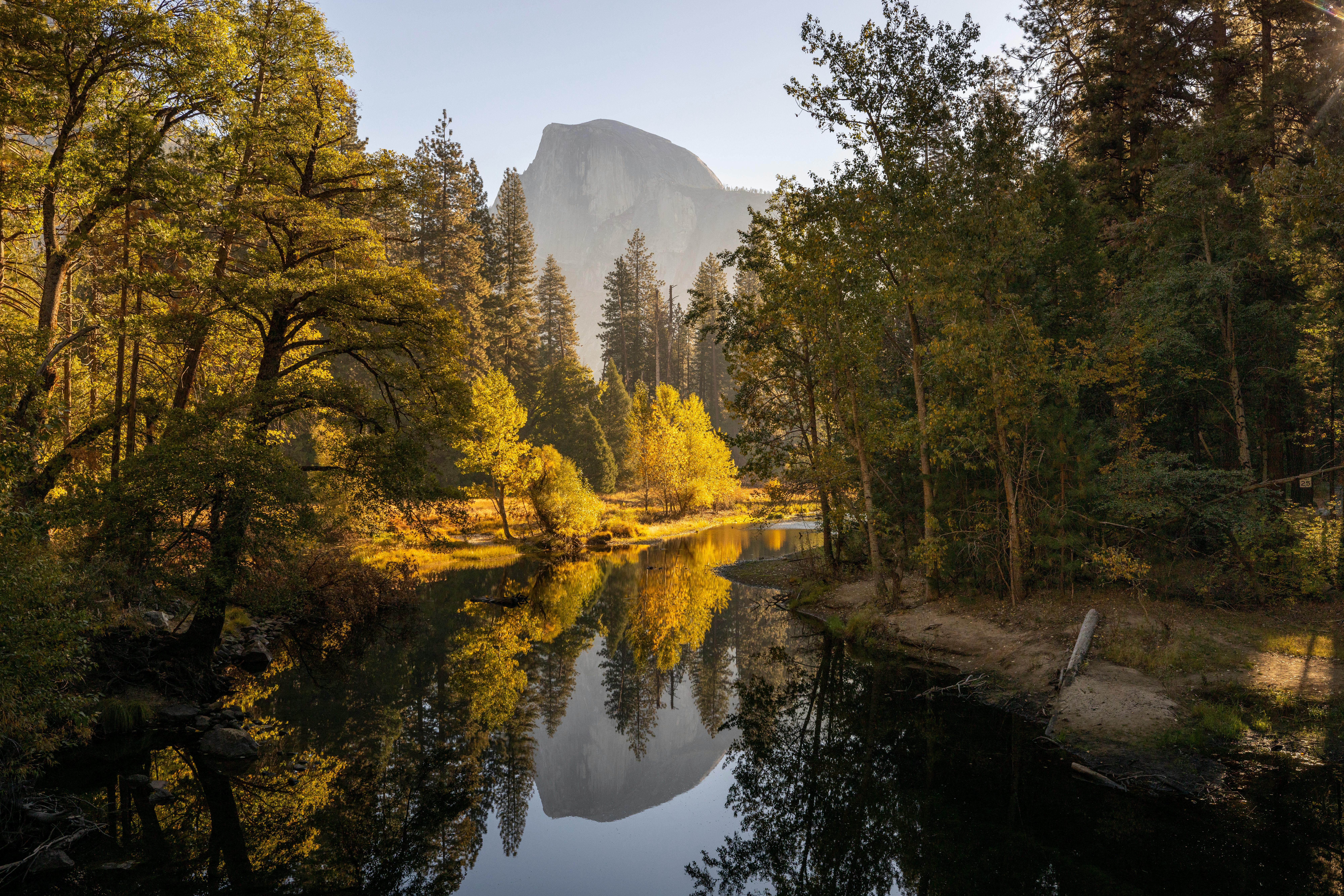 Scenic View of a River between Trees in a Mountain Valley