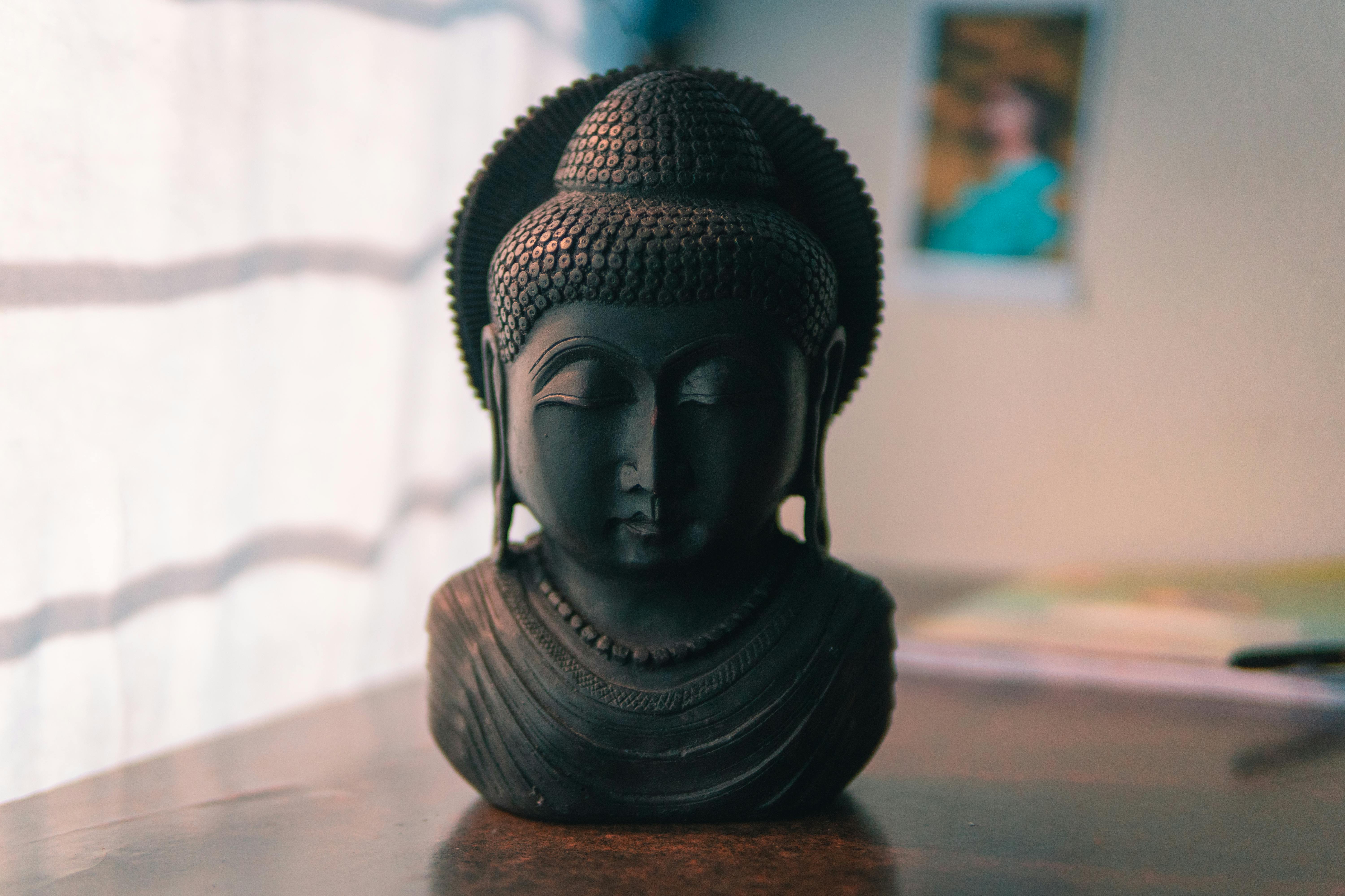 Stylish Nature-Inspired Art