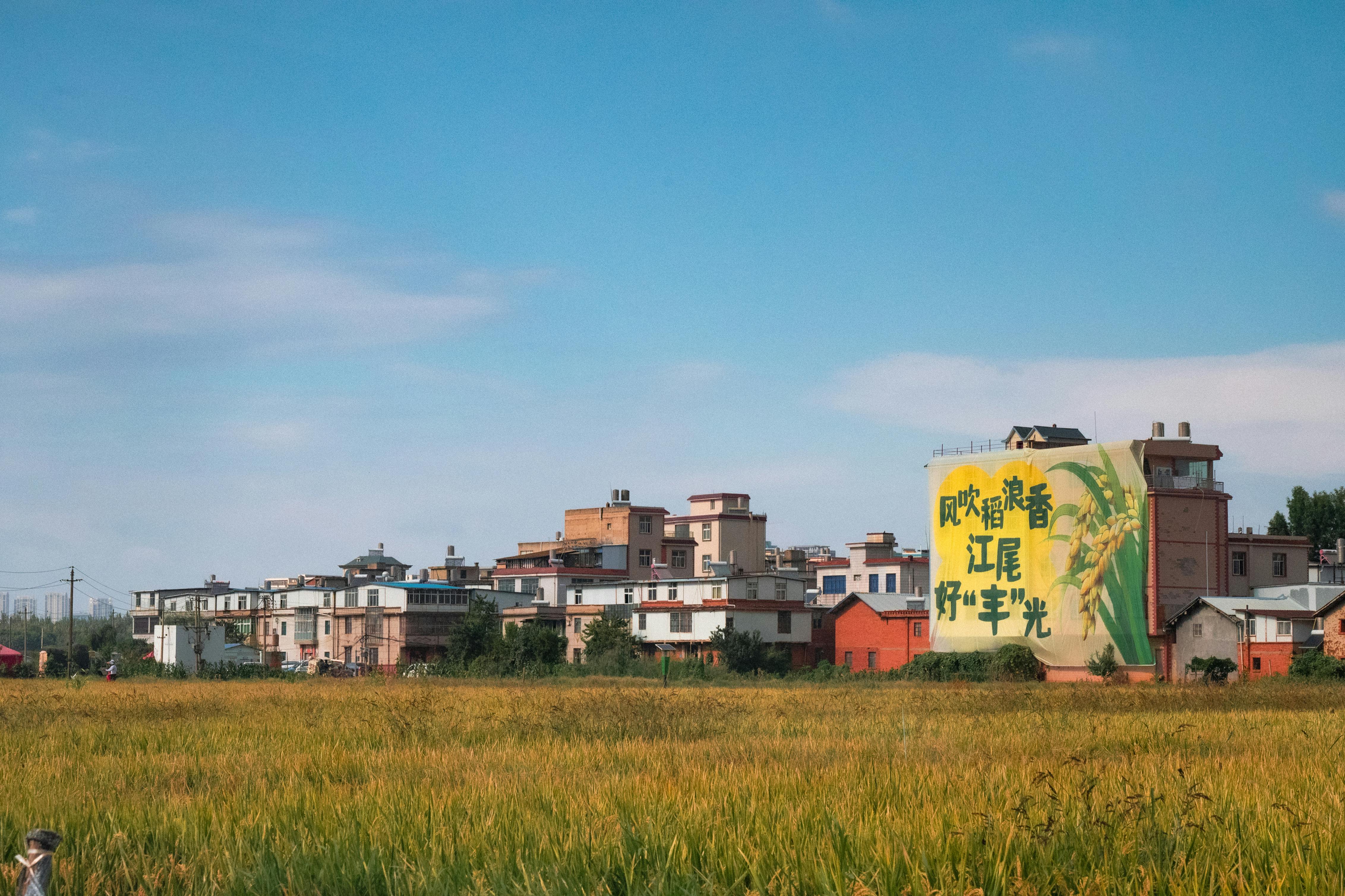 Urban Agriculture