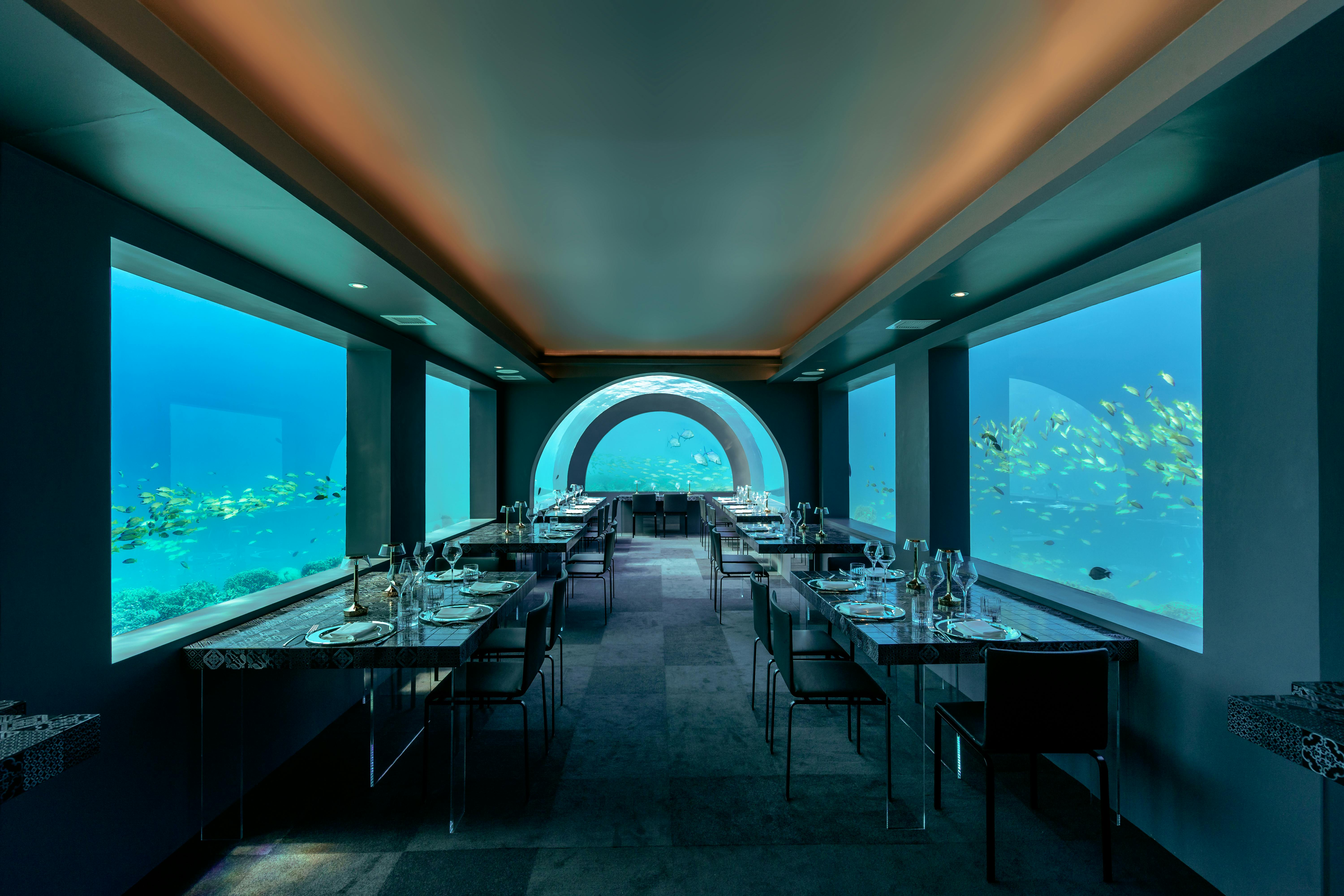 Aerial view of a beach dining setting