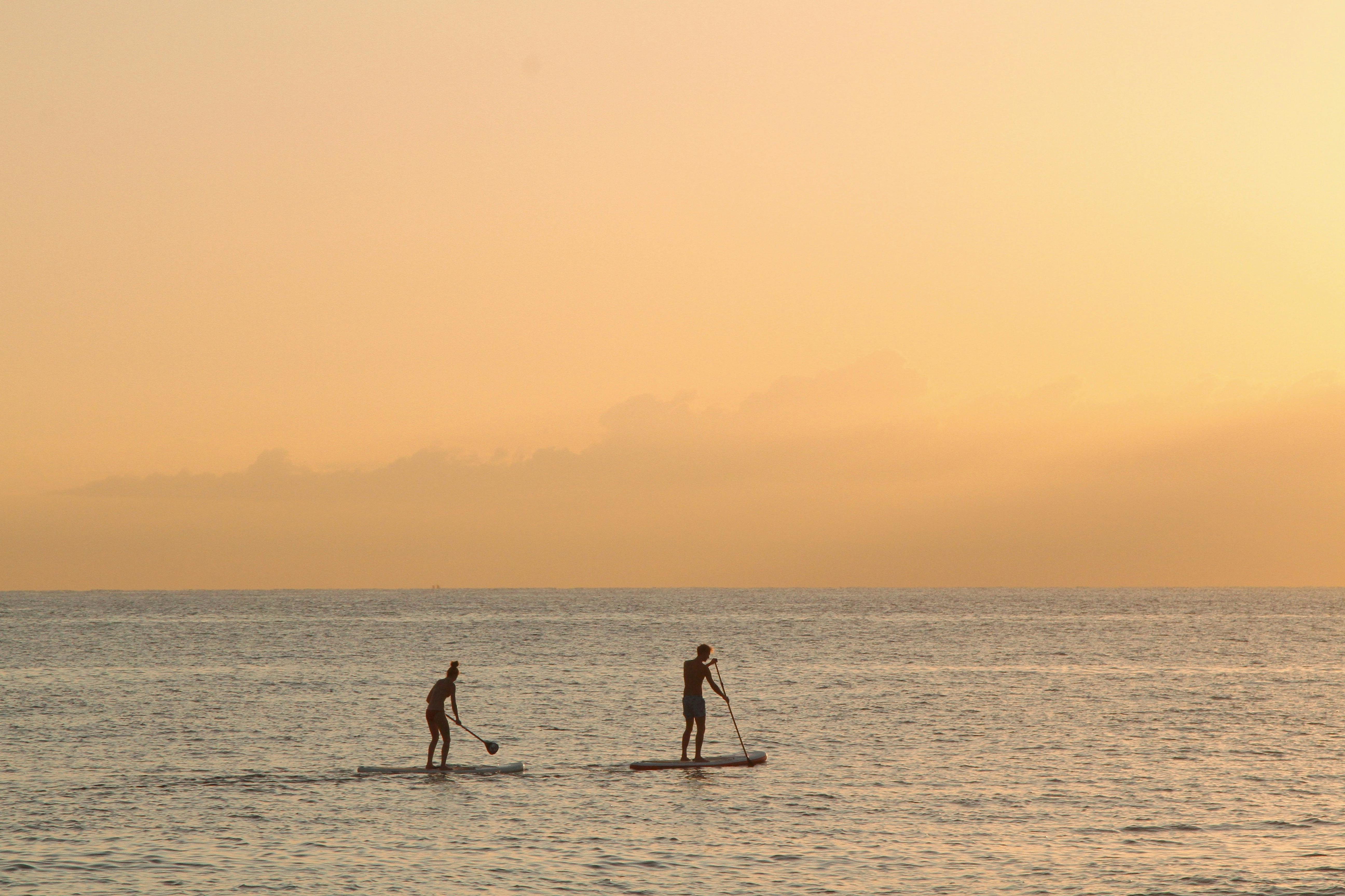 Man and Woman Paddle Boarding At Sea