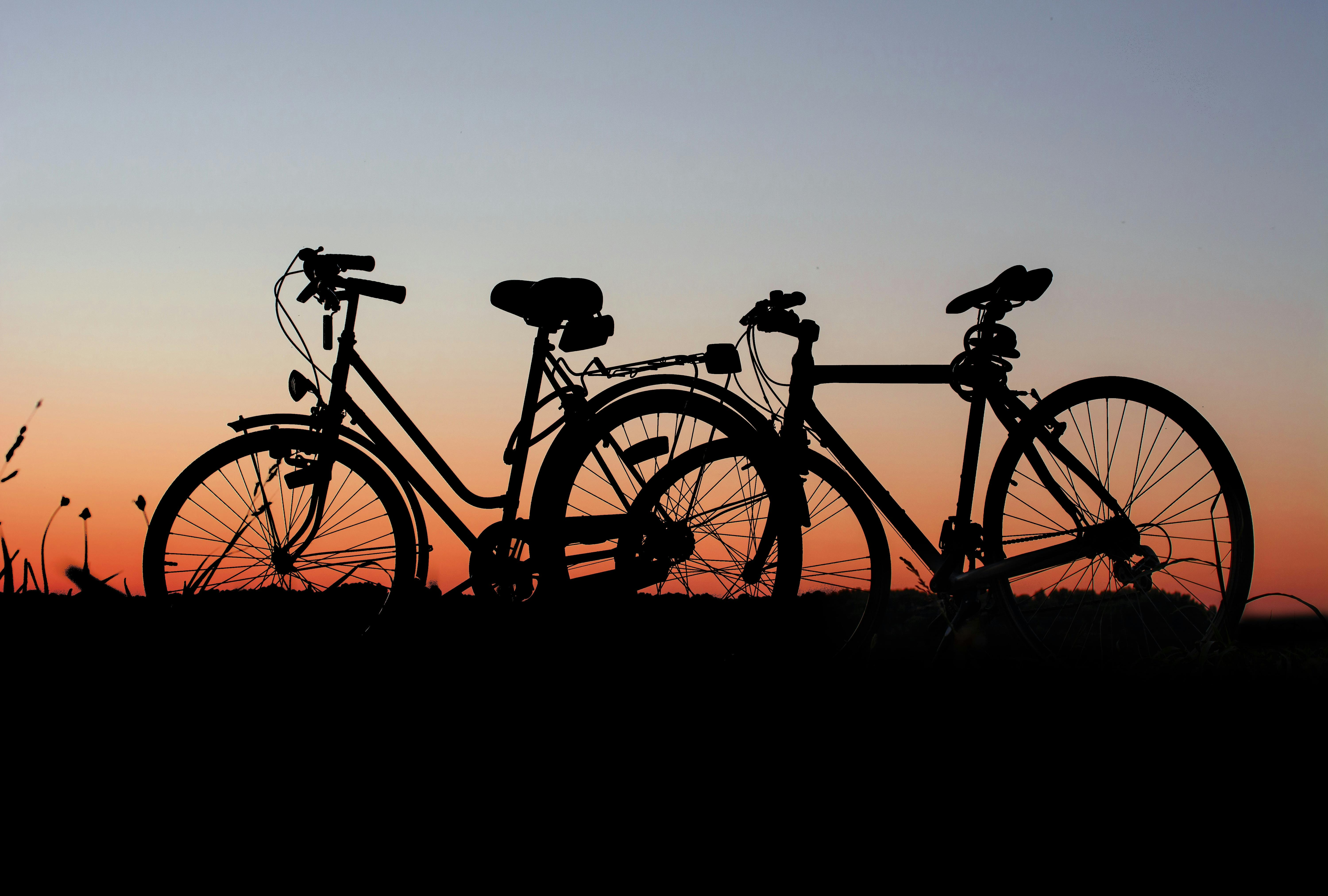 Silhouette of Bicycle on Grass