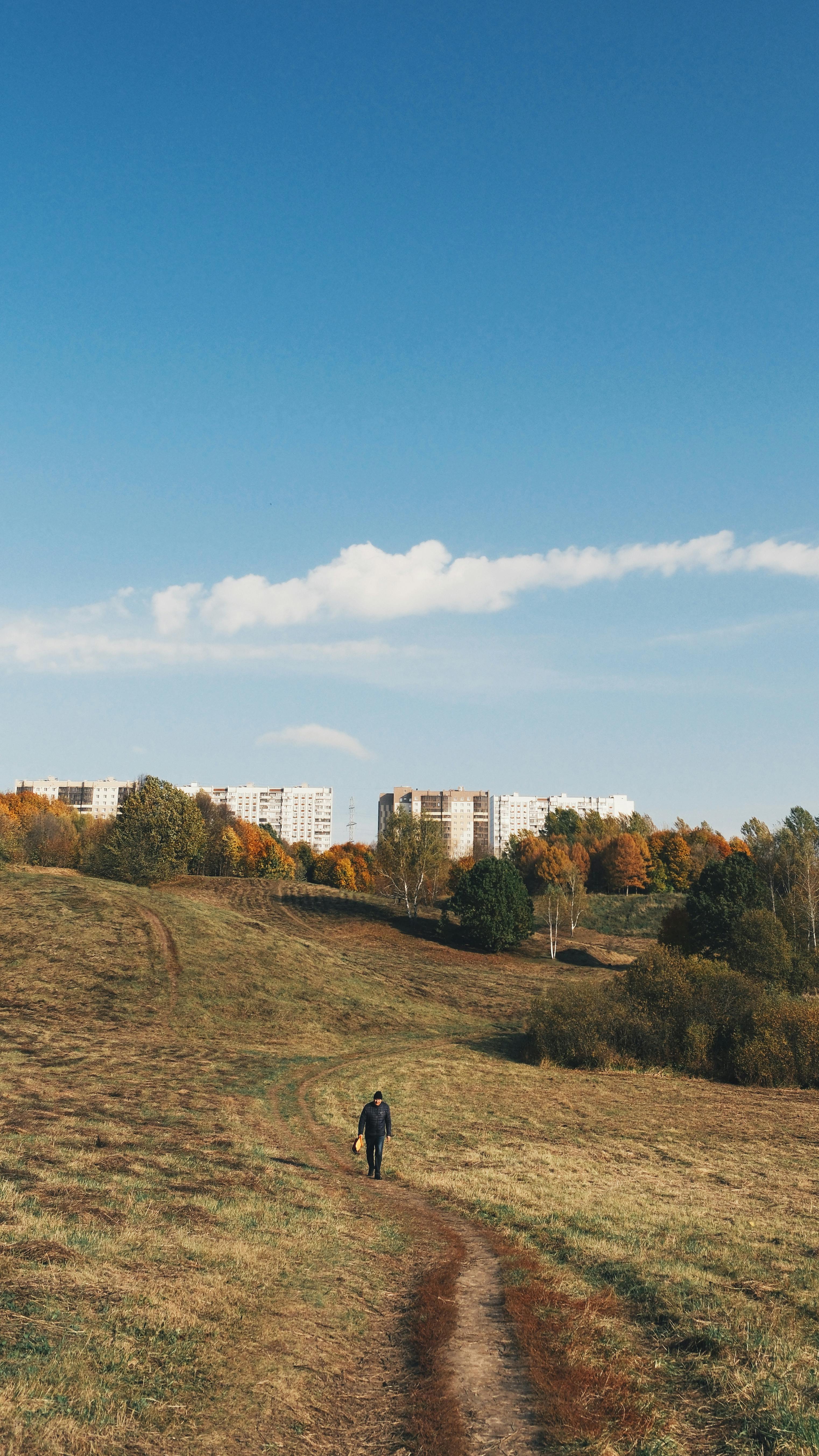 Autumn Walk in Moscow Urban Parkland