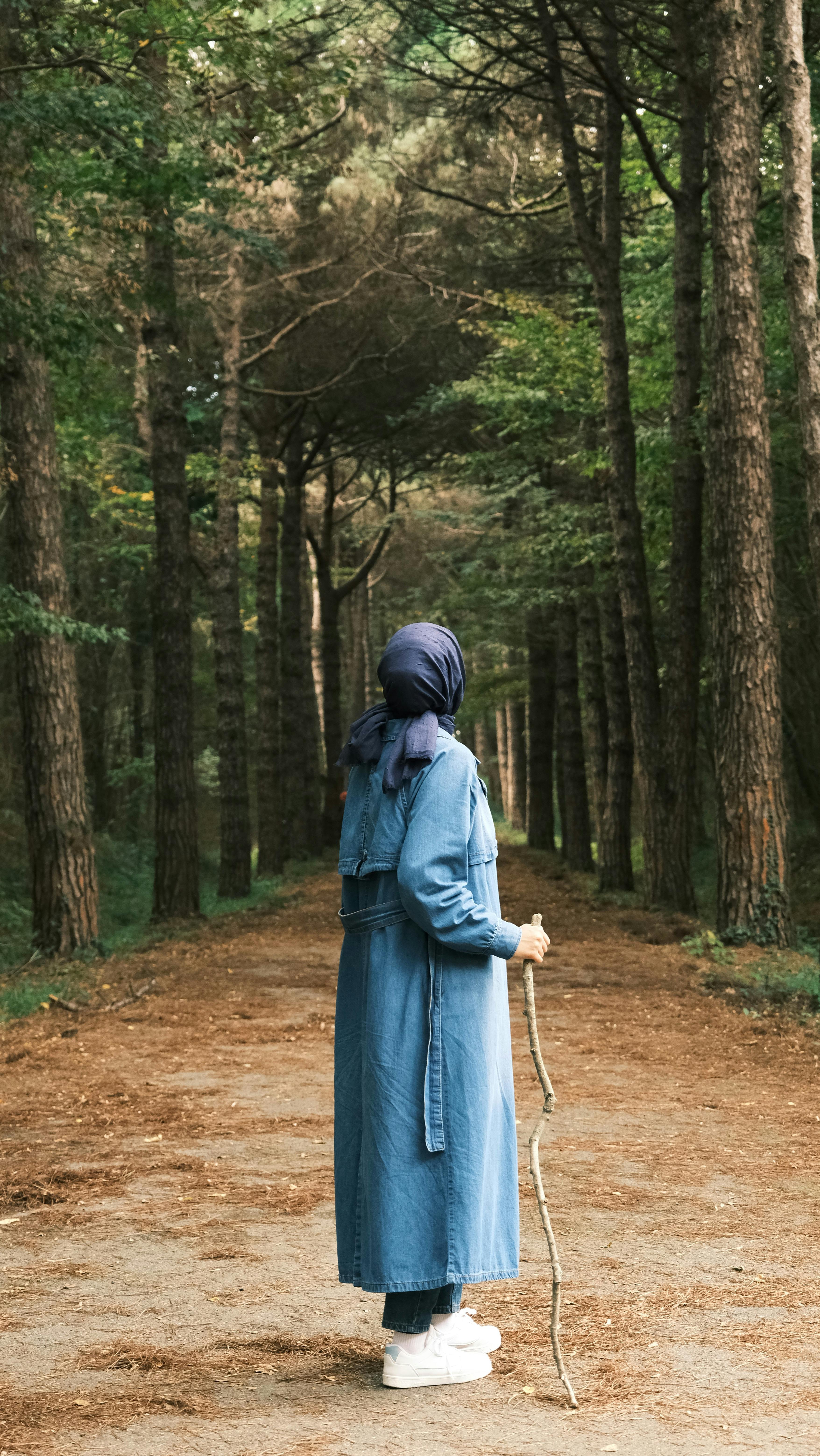 Solitary Walk in Tranquil Forest Path