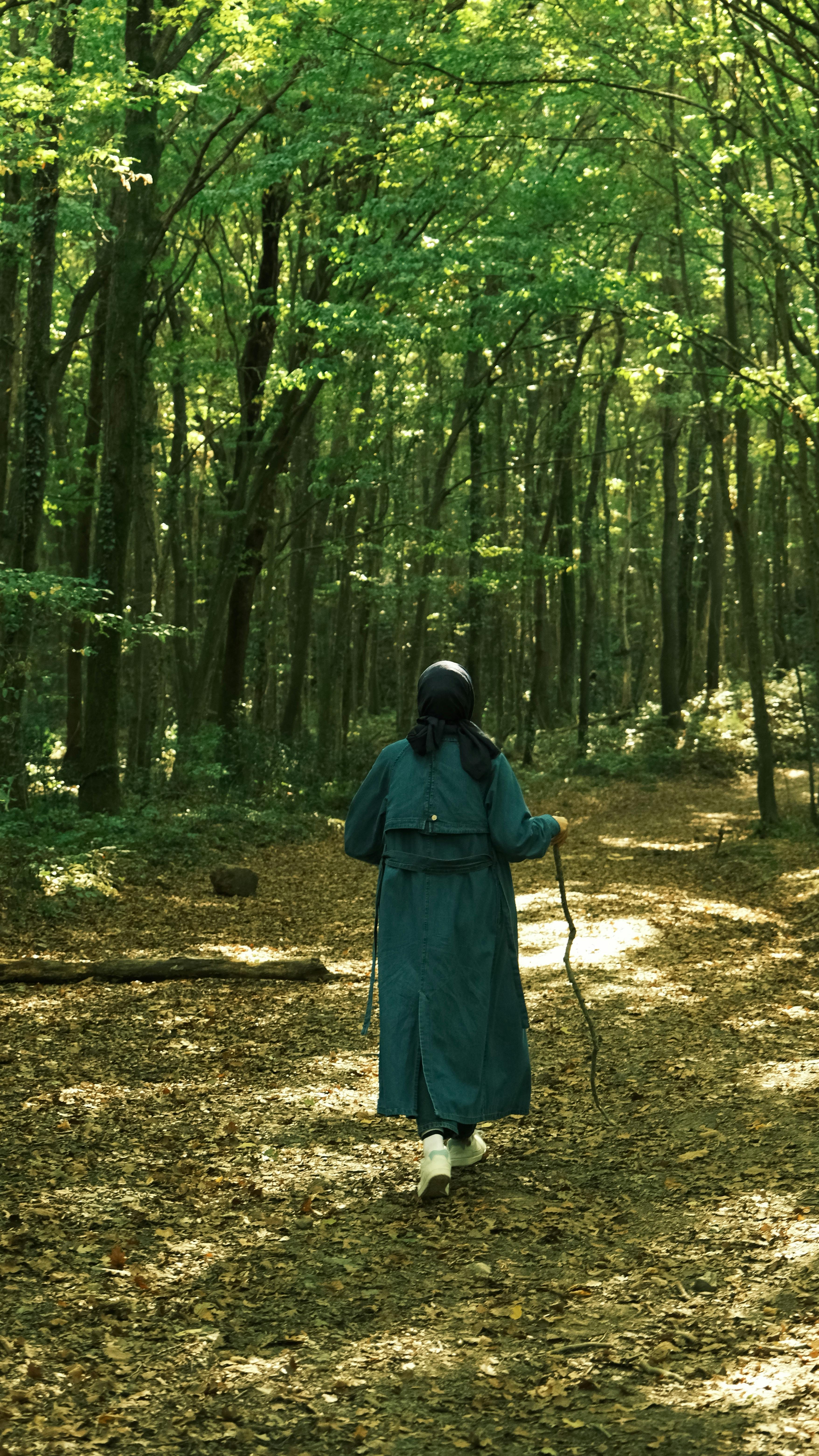 Person Walking Alone in Serene Forest Pathway