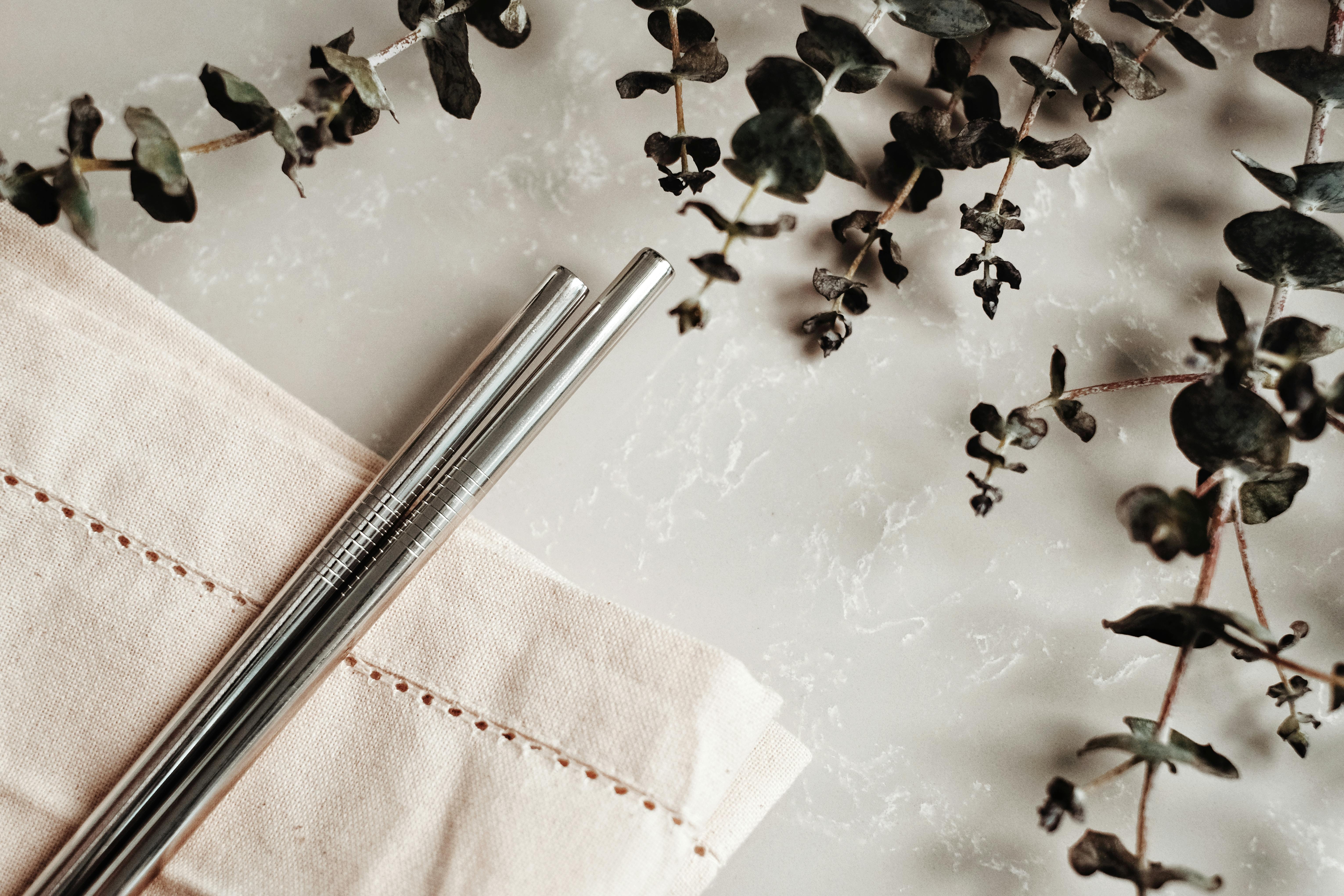 Eco Friendly Metal Straws