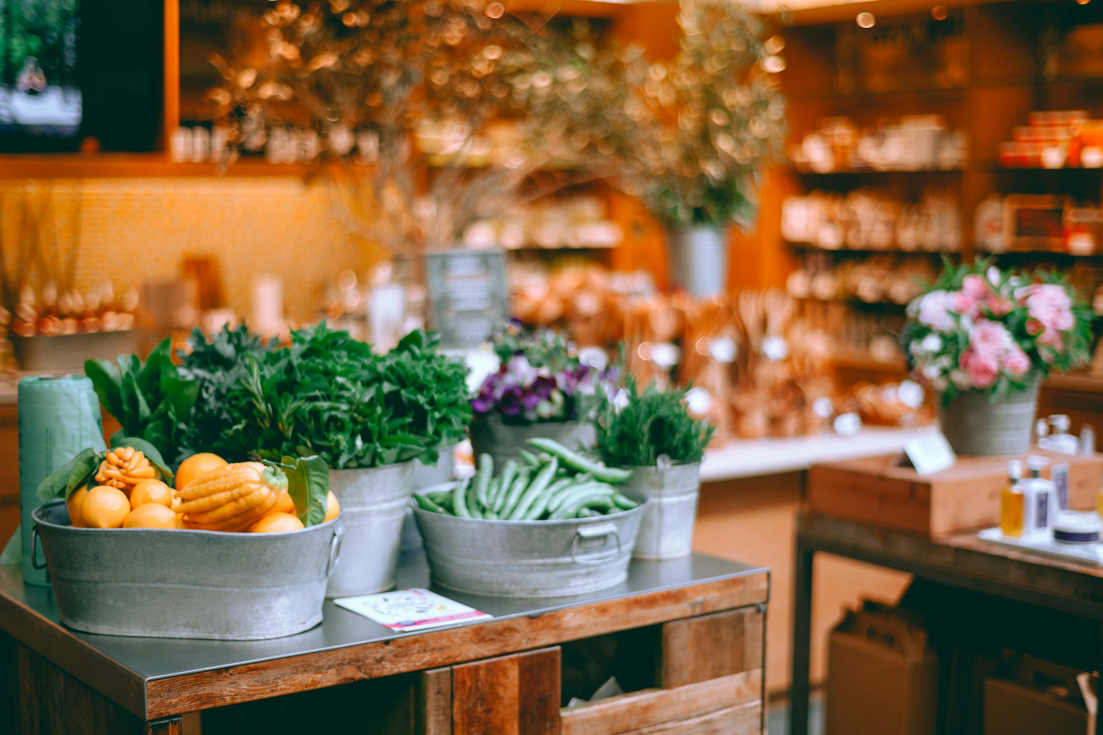 Assorted fresh vegetables and herbs in iron containers on table in modern store