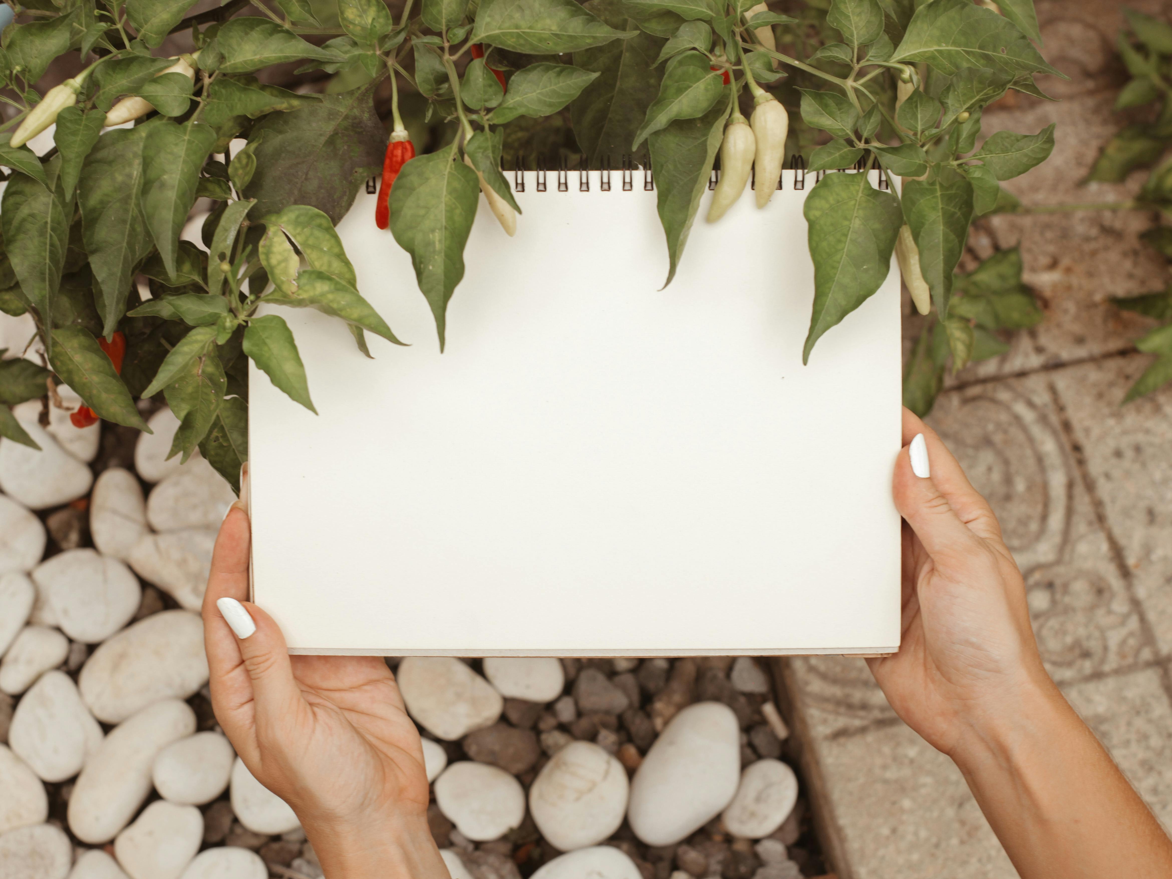 A Person Holding a Blank Notebook With Green Leaves