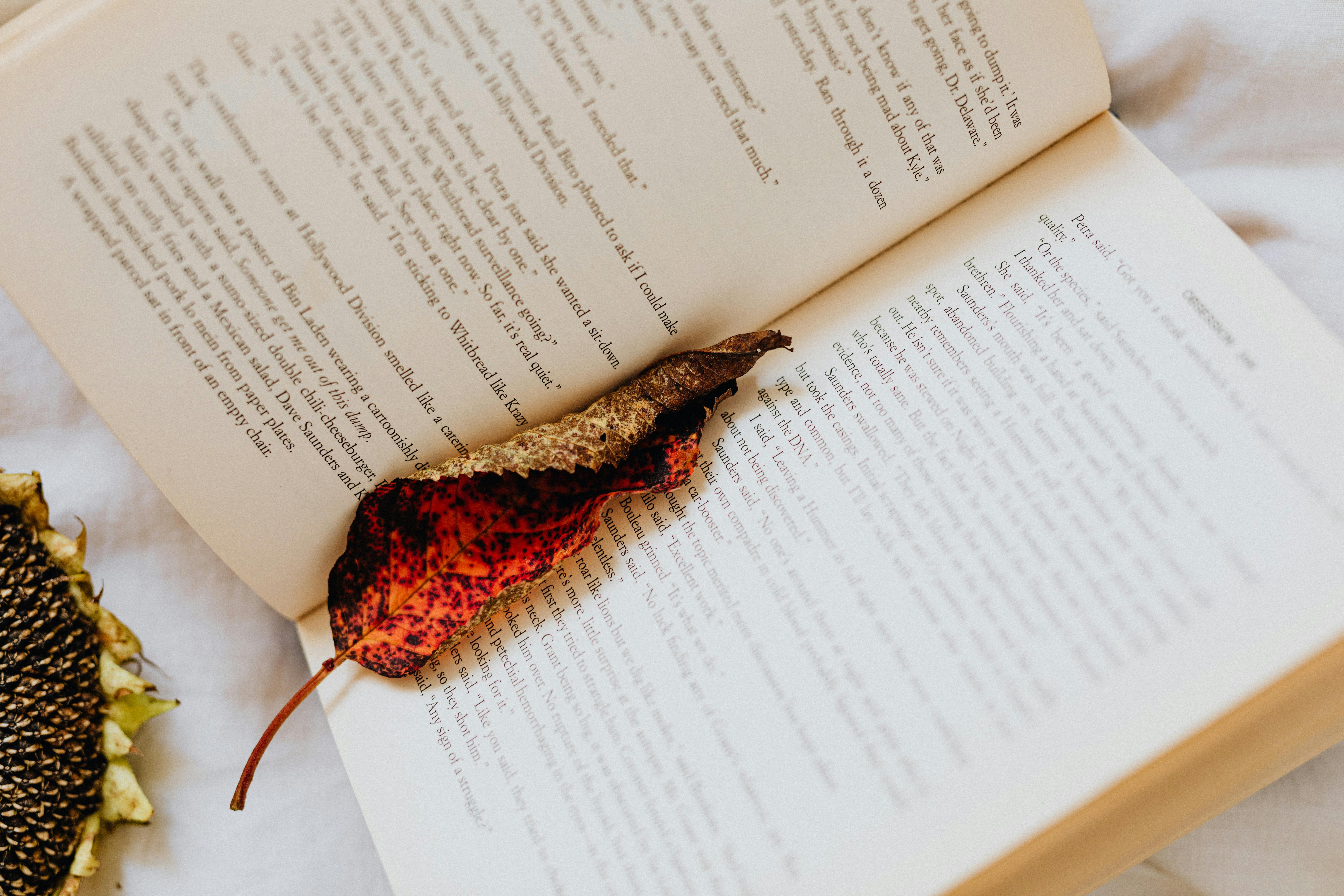 Brown Dried Leaf on an Opened Book