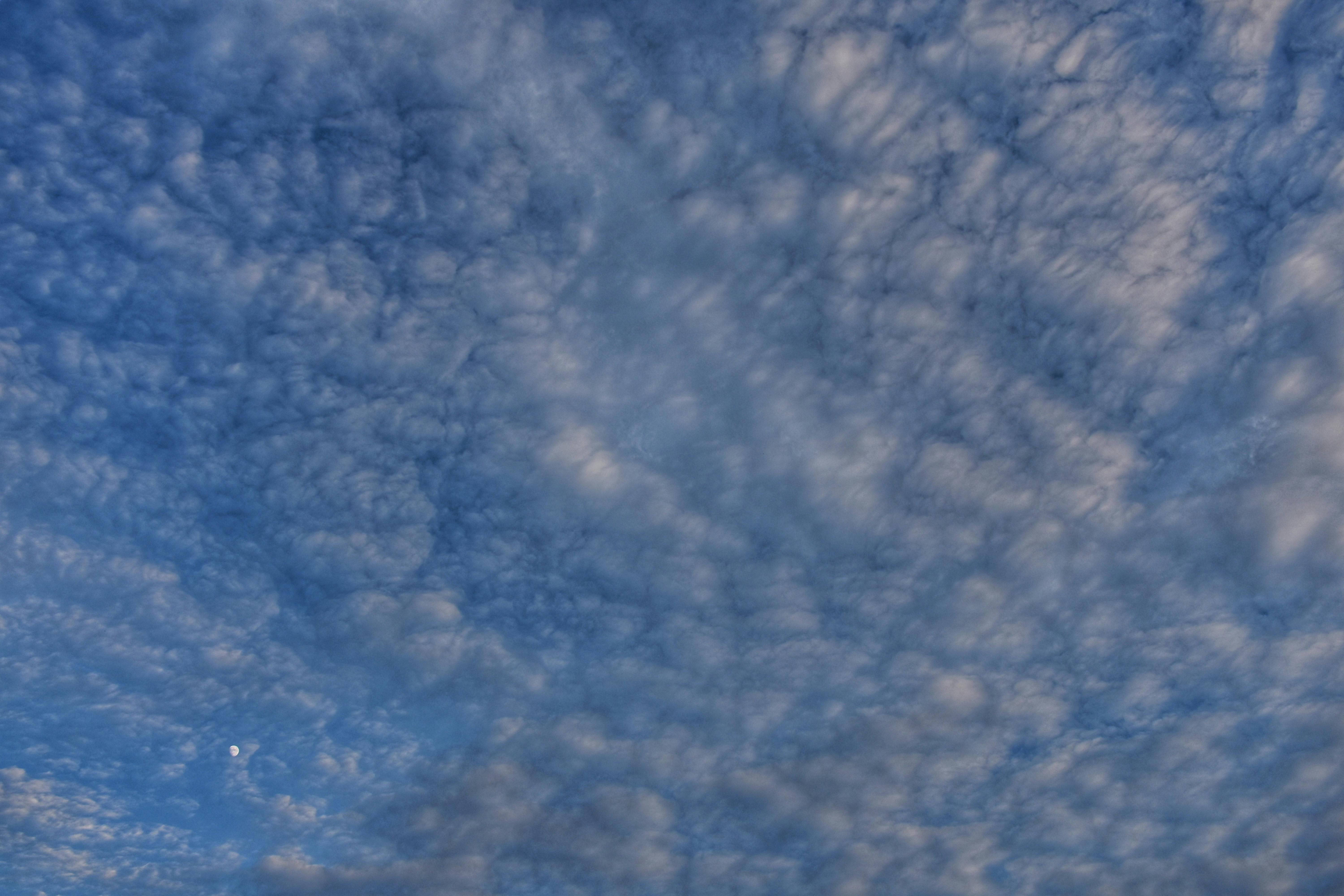 Modern Webhook Interface